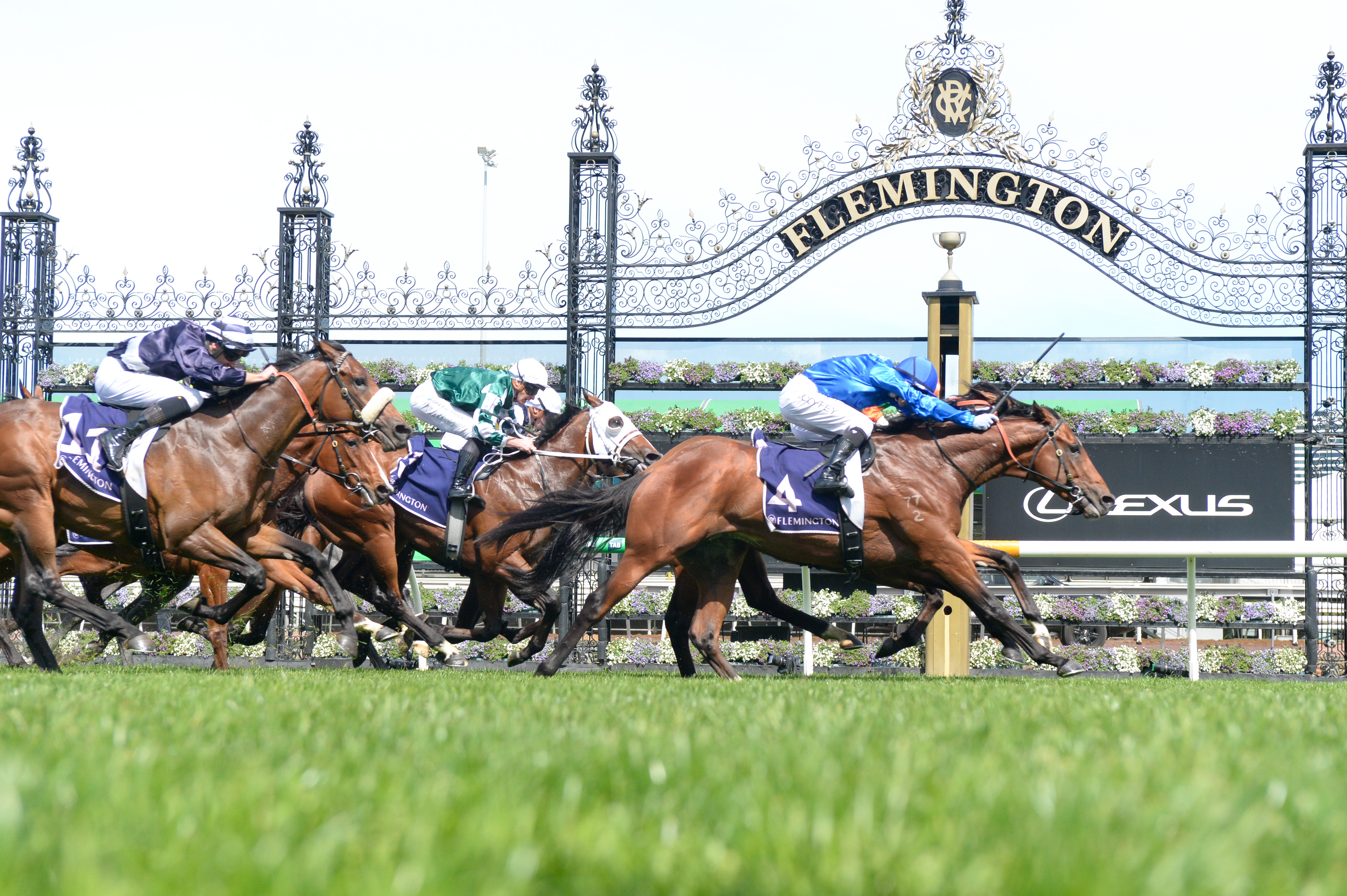 VRC Oaks contender headlines November (Early) Online Sale