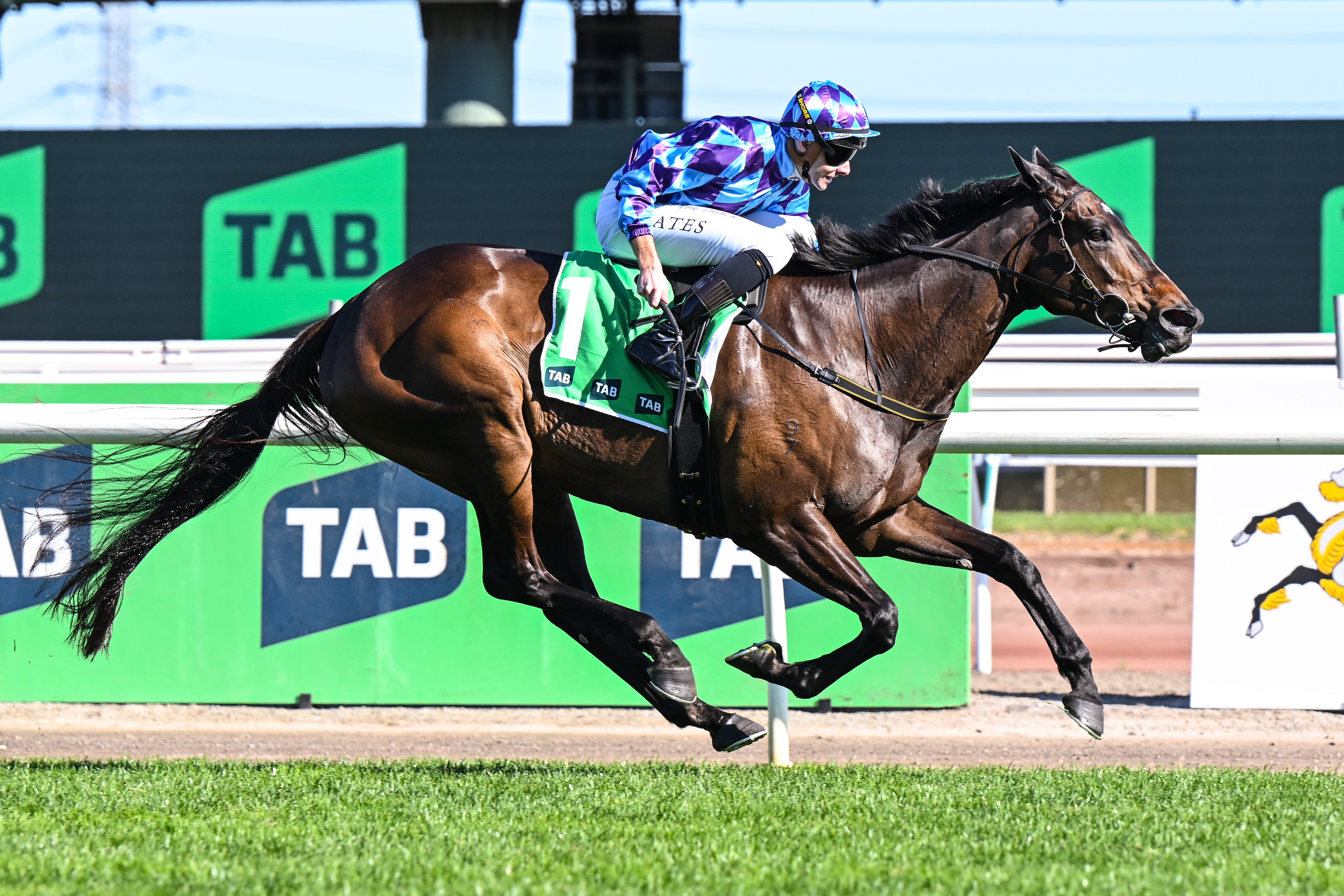 Jenni is the Pride of Flemington once again!