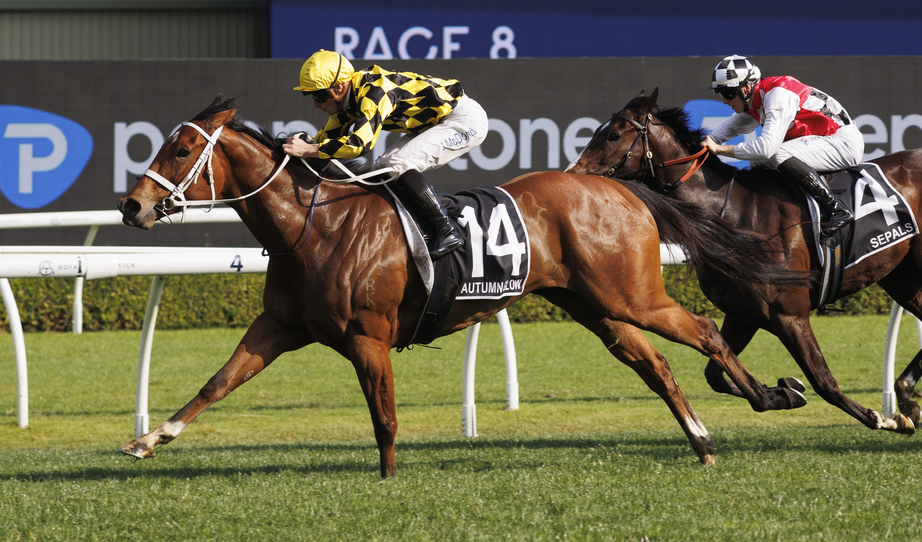 Autumn Glow shines again in $10m Golden Eagle