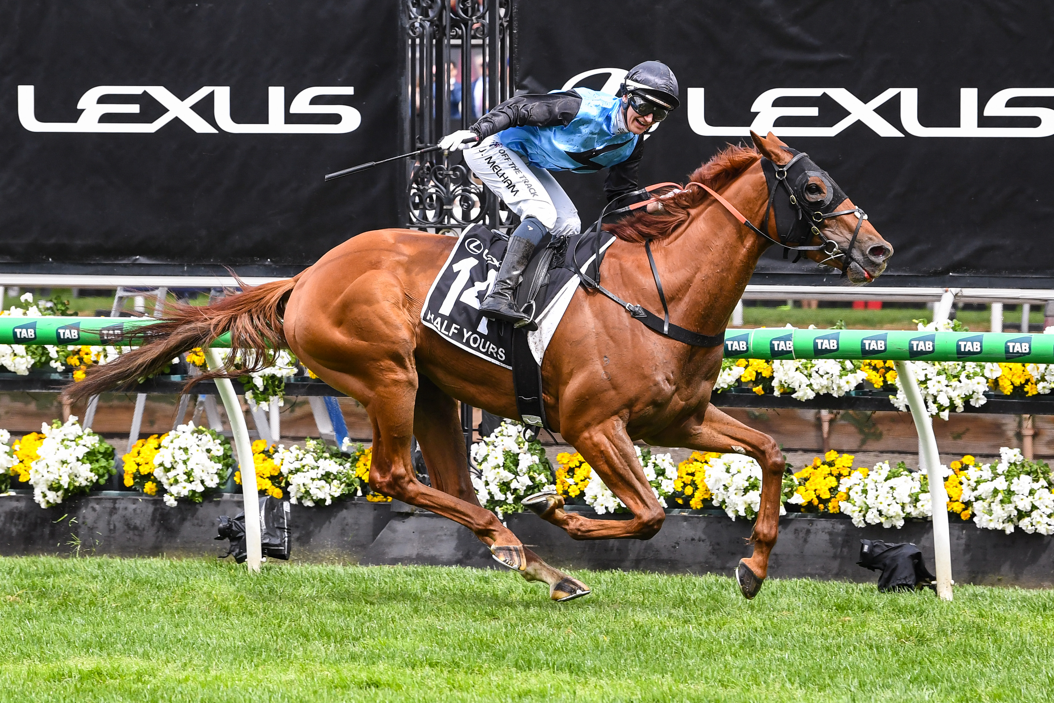 Inglis Digital star Half Yours wins G1 Melbourne Cup