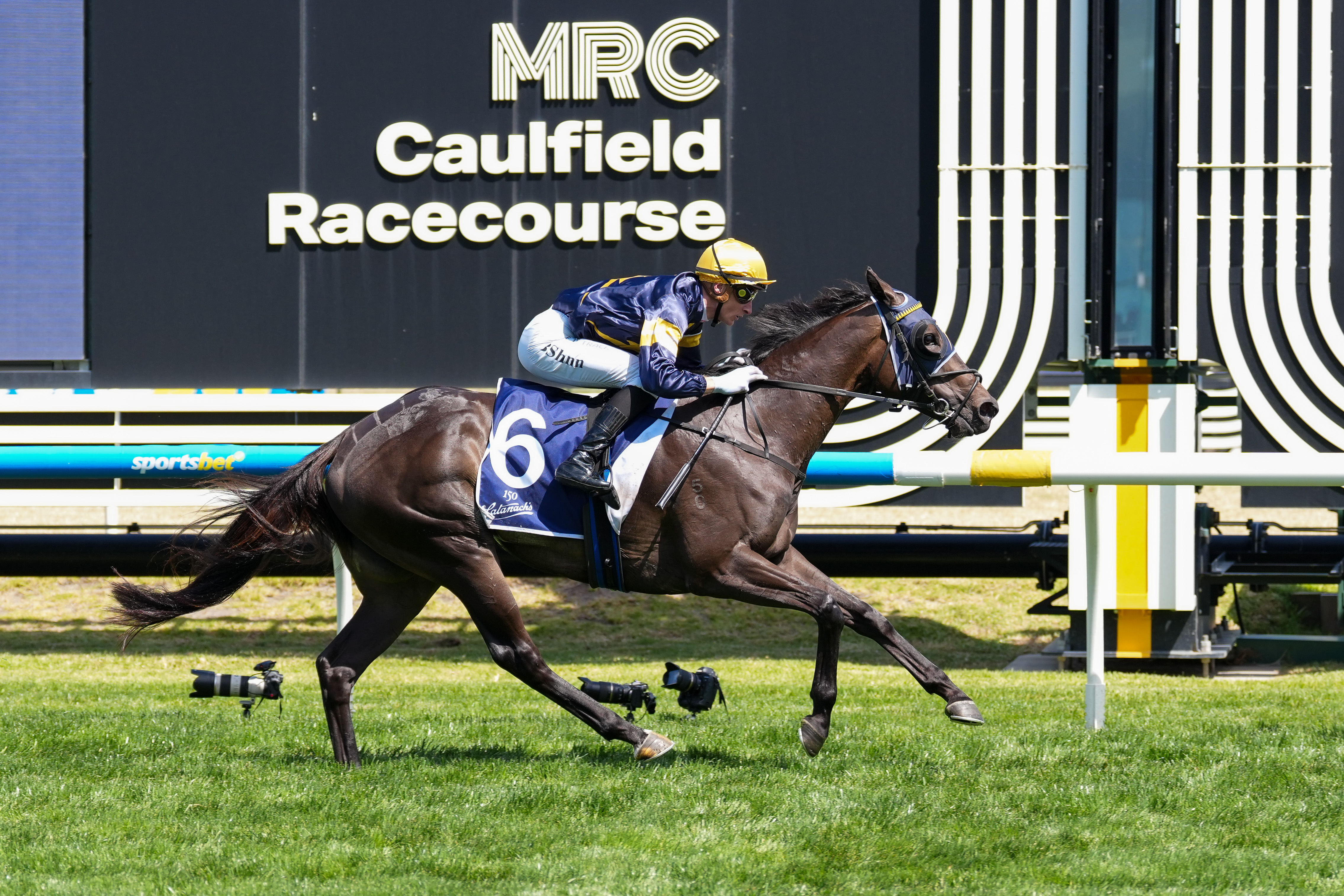 Triple Group winner Coeur Volante to sell on Inglis Digital