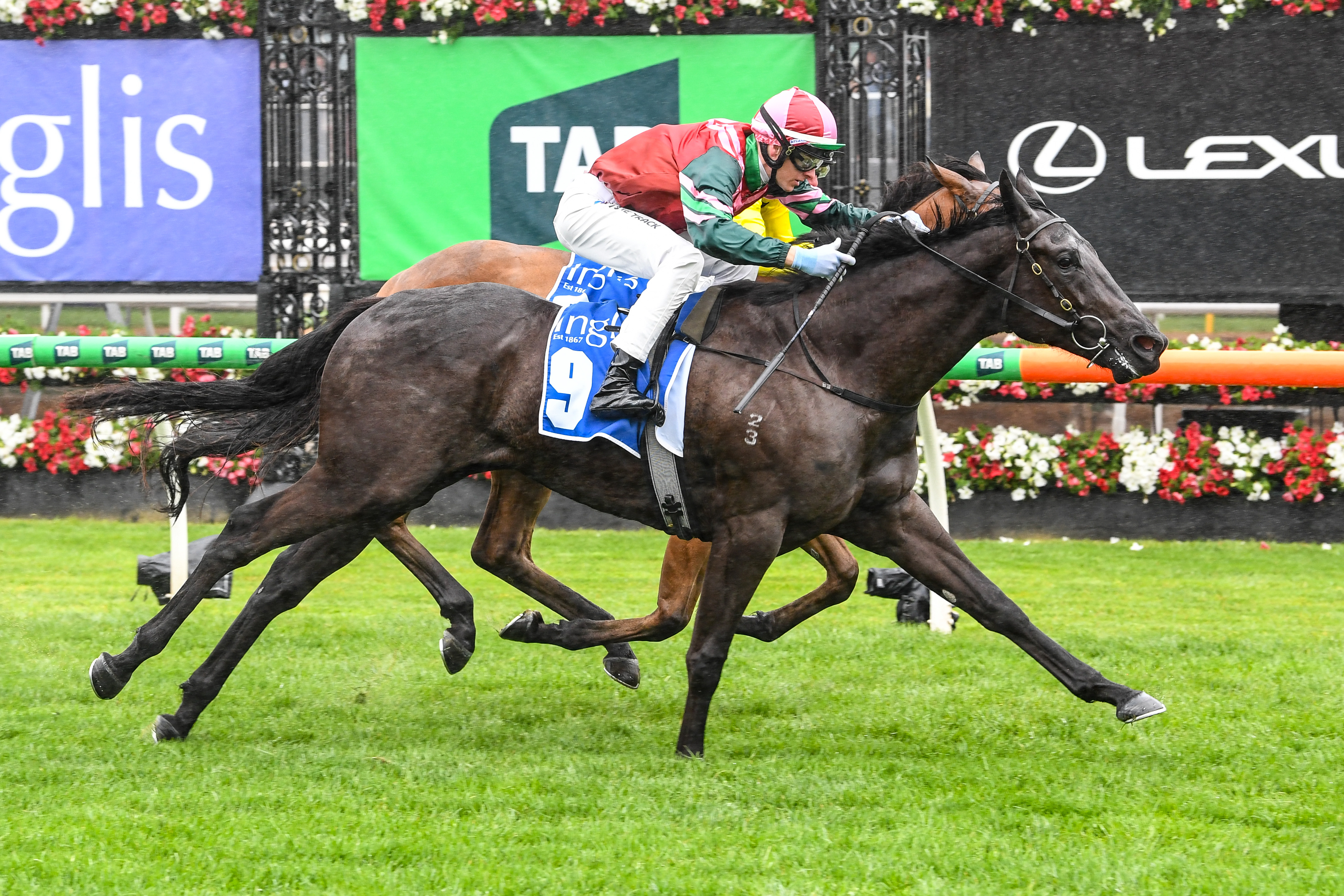 Calamari Ring victorious in Inglis Banner