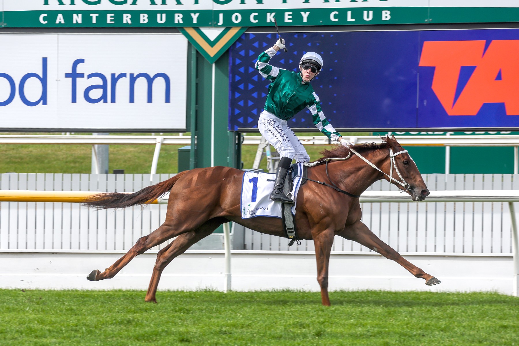 G1 glory for Great Southern graduate Well Written