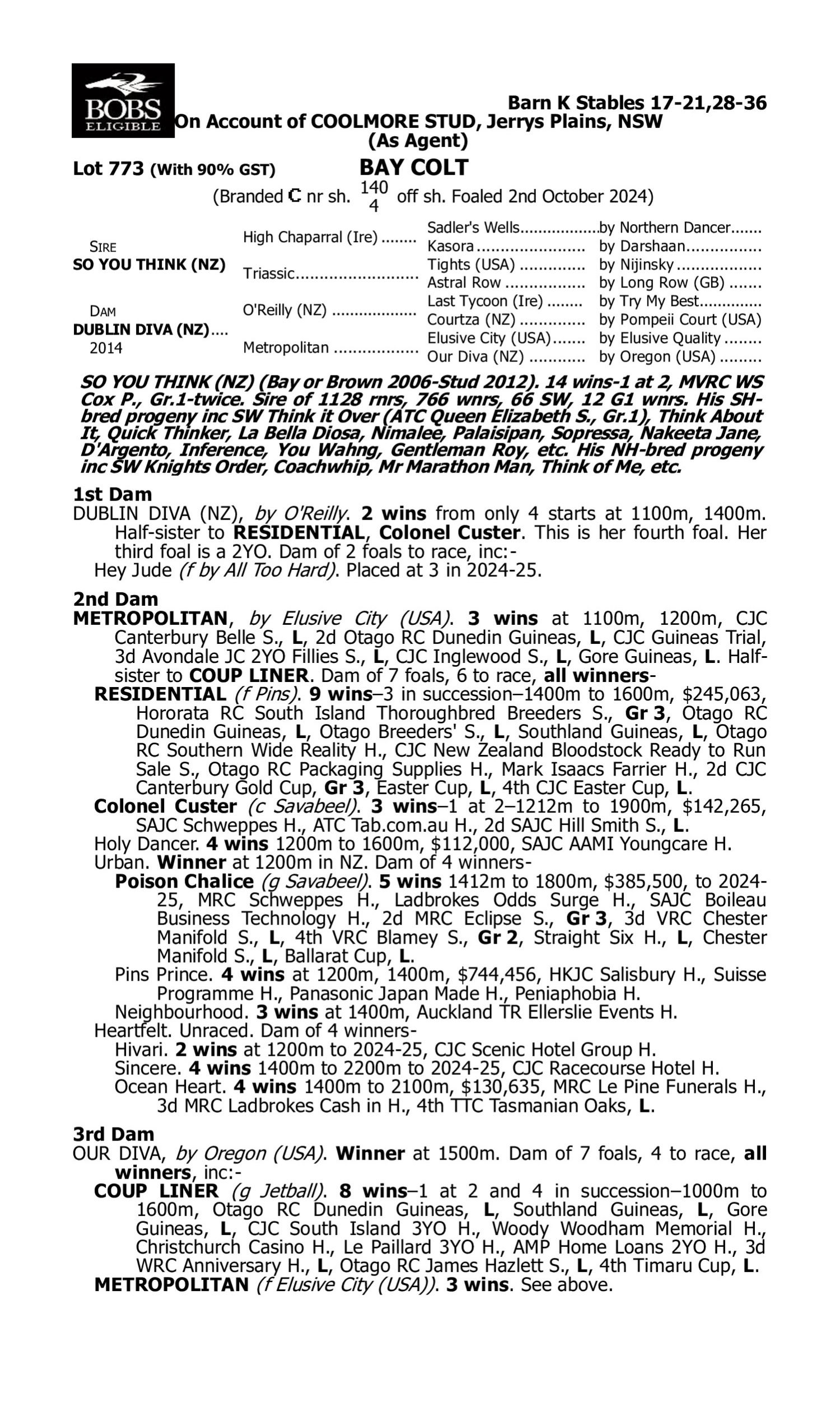 Pedigree for Lot 773 So You Think (NZ) - Dublin Diva (NZ)