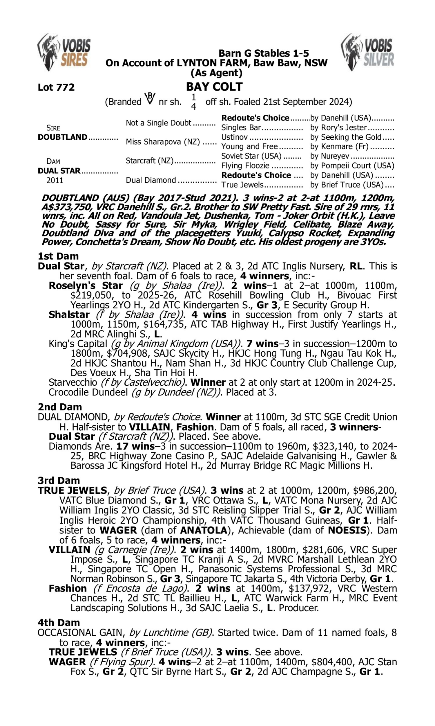 Pedigree for Lot 772 Doubtland - Dual Star