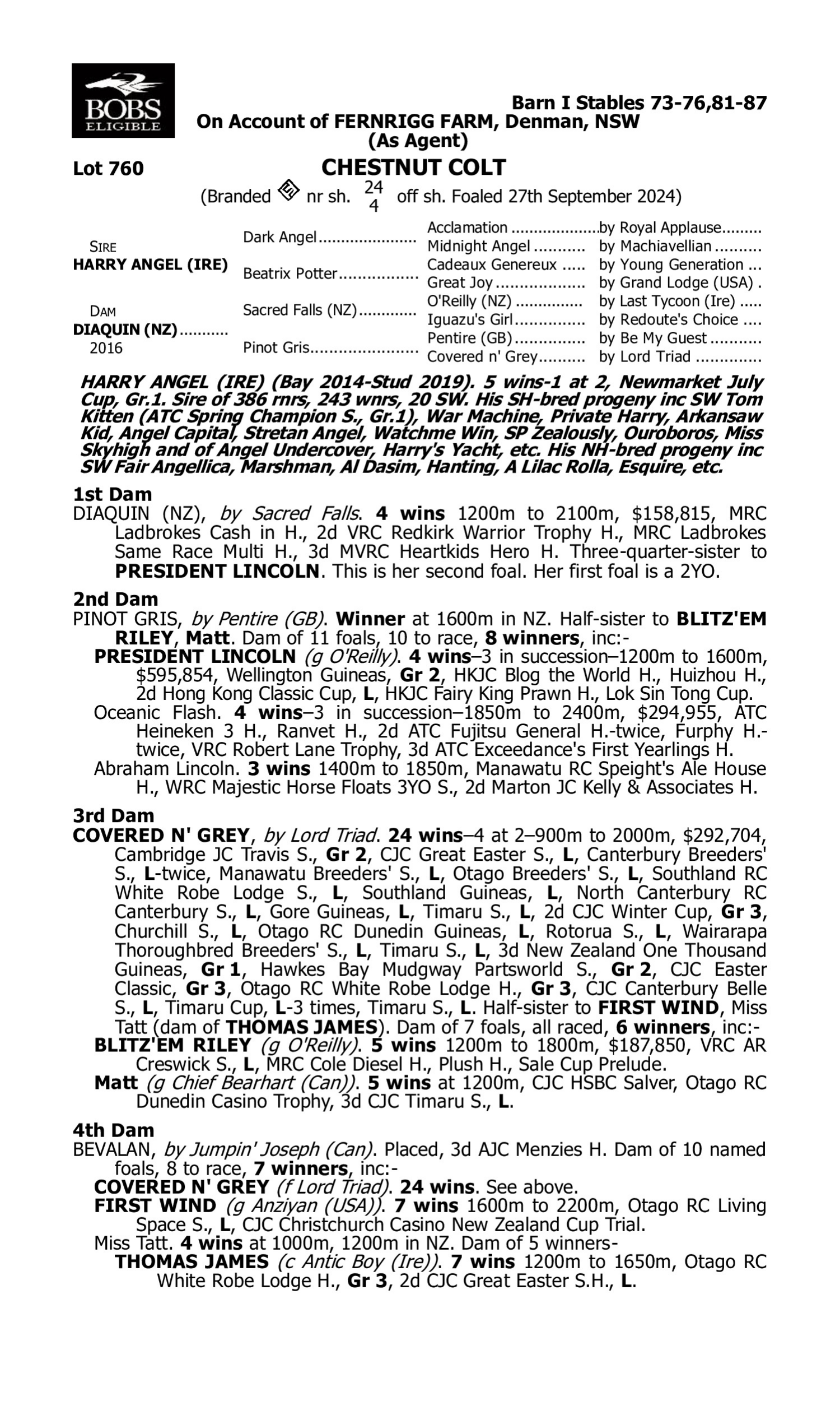 Pedigree for Lot 760 Harry Angel (IRE) - Diaquin (NZ)