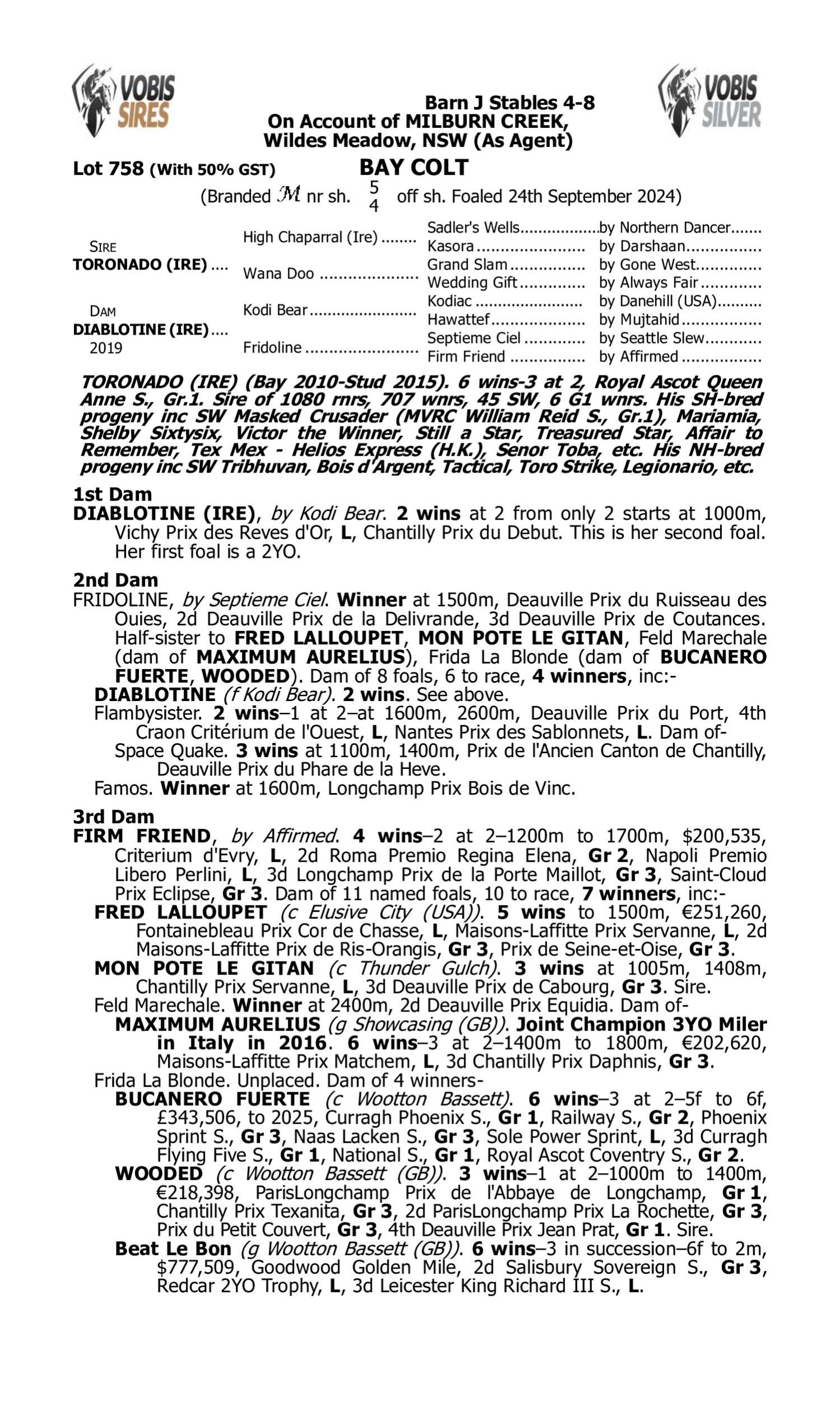 Pedigree for Lot 758 Toronado (IRE) - Diablotine (IRE)