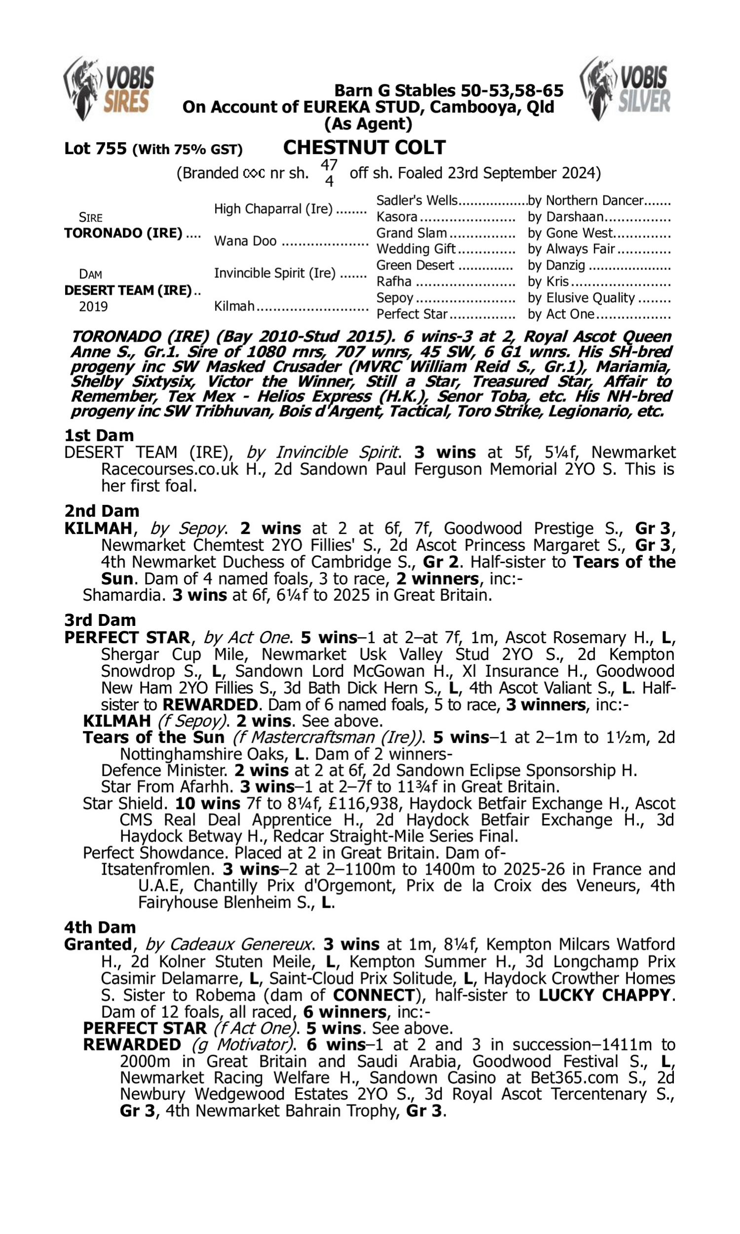 Pedigree for Lot 755 Toronado (IRE) - Desert Team (IRE)