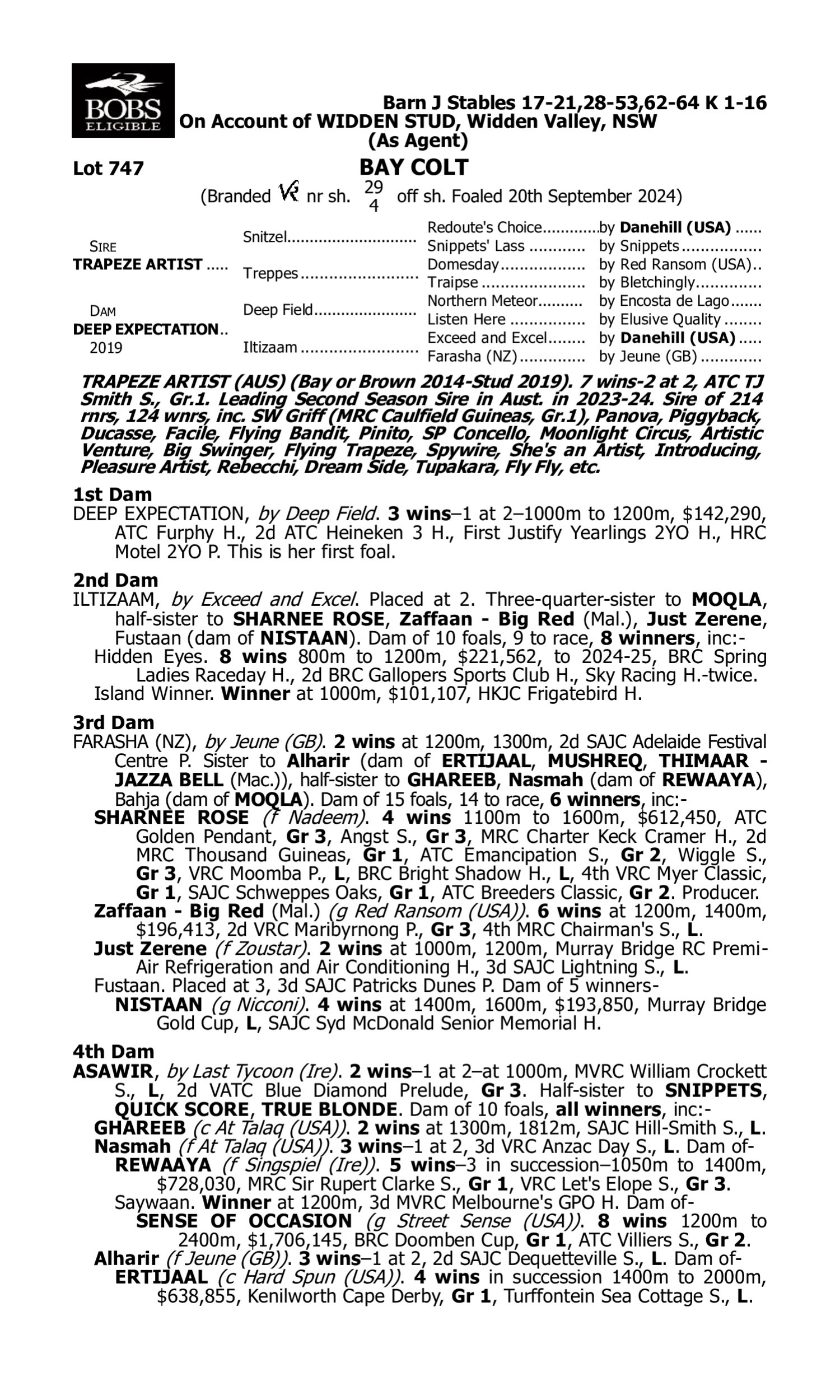 Pedigree for Lot 747 Trapeze Artist - Deep Expectation