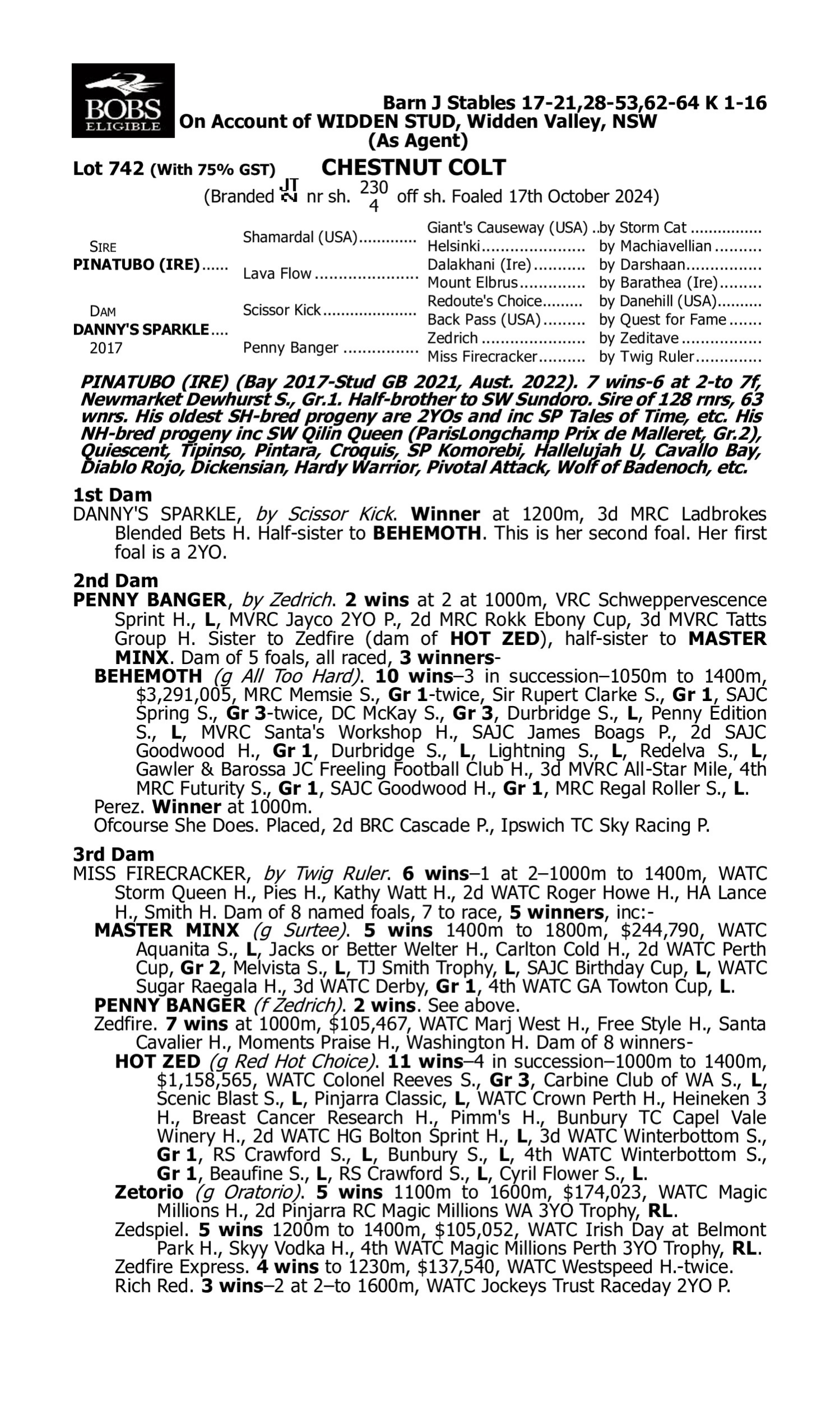Pedigree for Lot 742 Pinatubo (IRE) - Danny's Sparkle