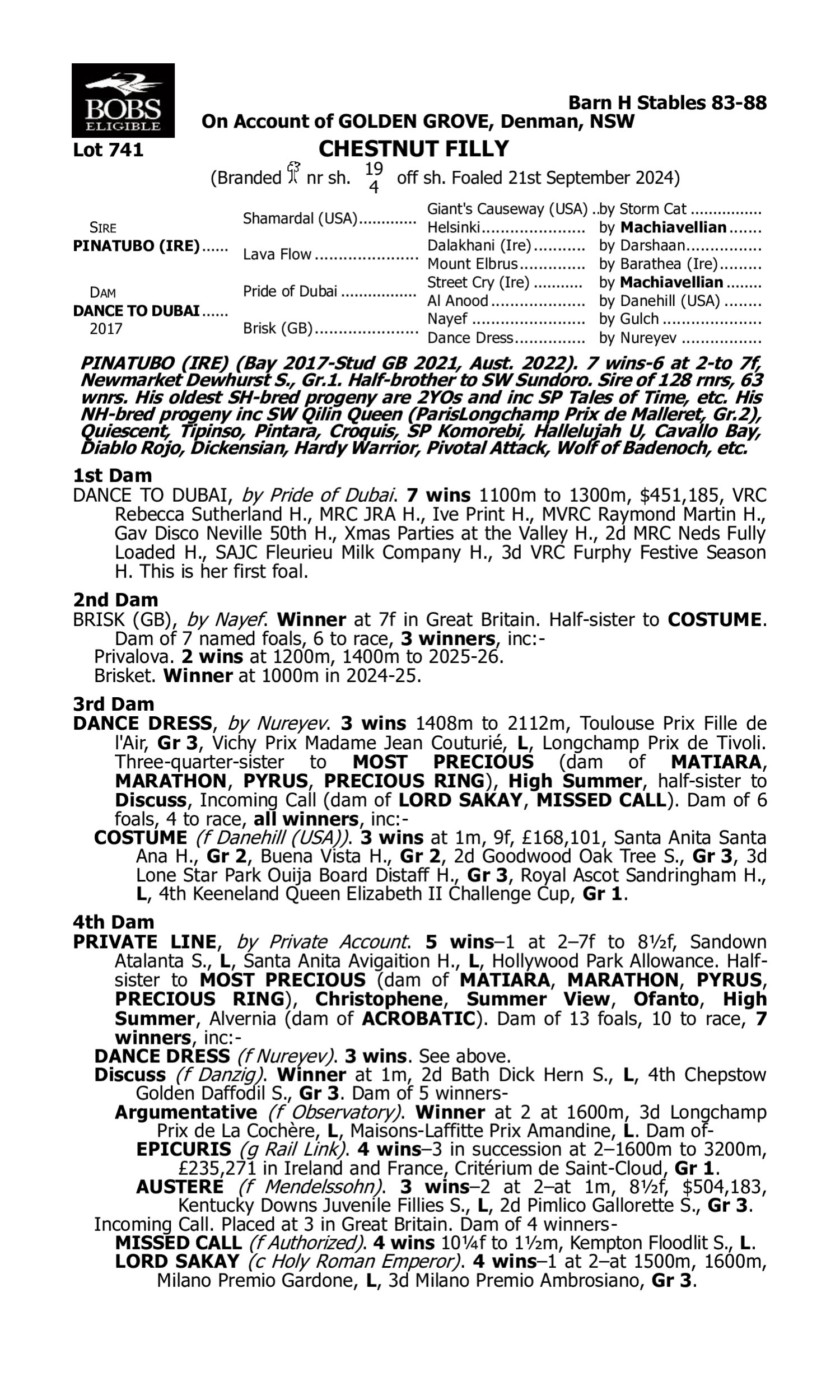 Pedigree for Lot 741 Pinatubo (IRE) - Dance to Dubai