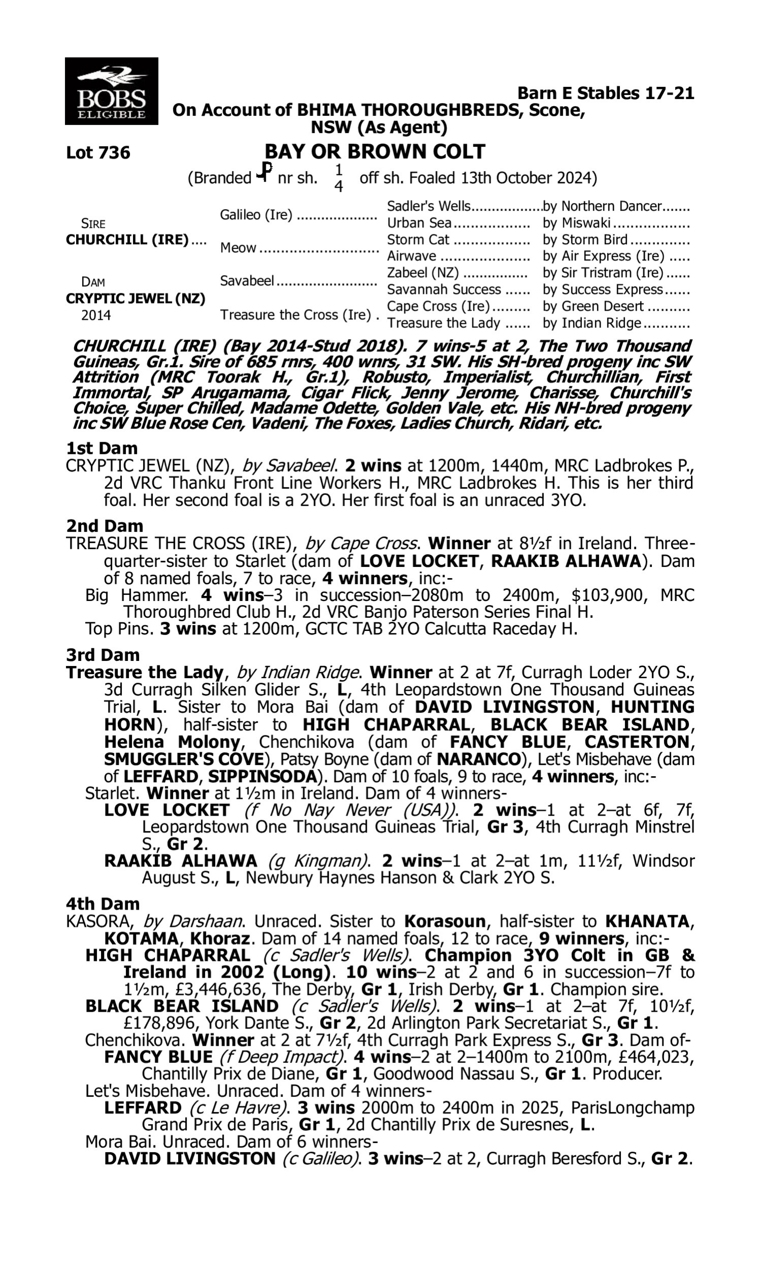 Pedigree for Lot 736 Churchill (IRE) - Cryptic Jewel (NZ)