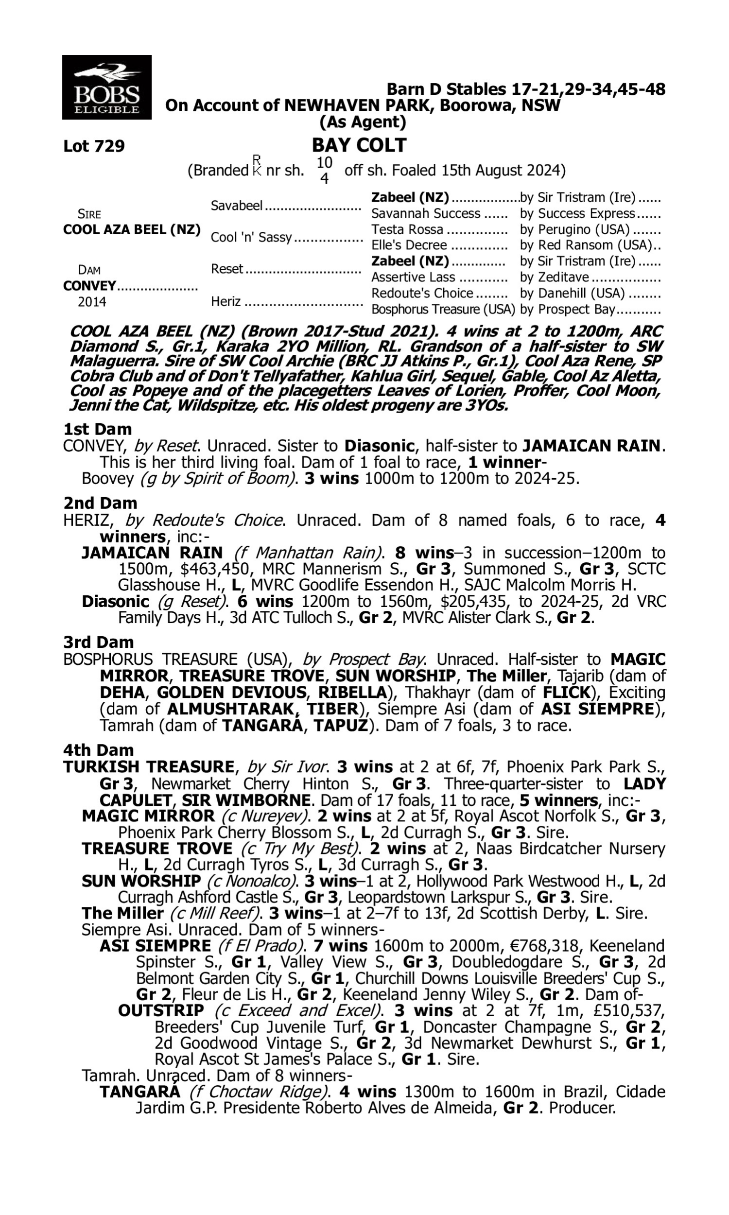 Pedigree for Lot 729 Cool Aza Beel (NZ) - Convey