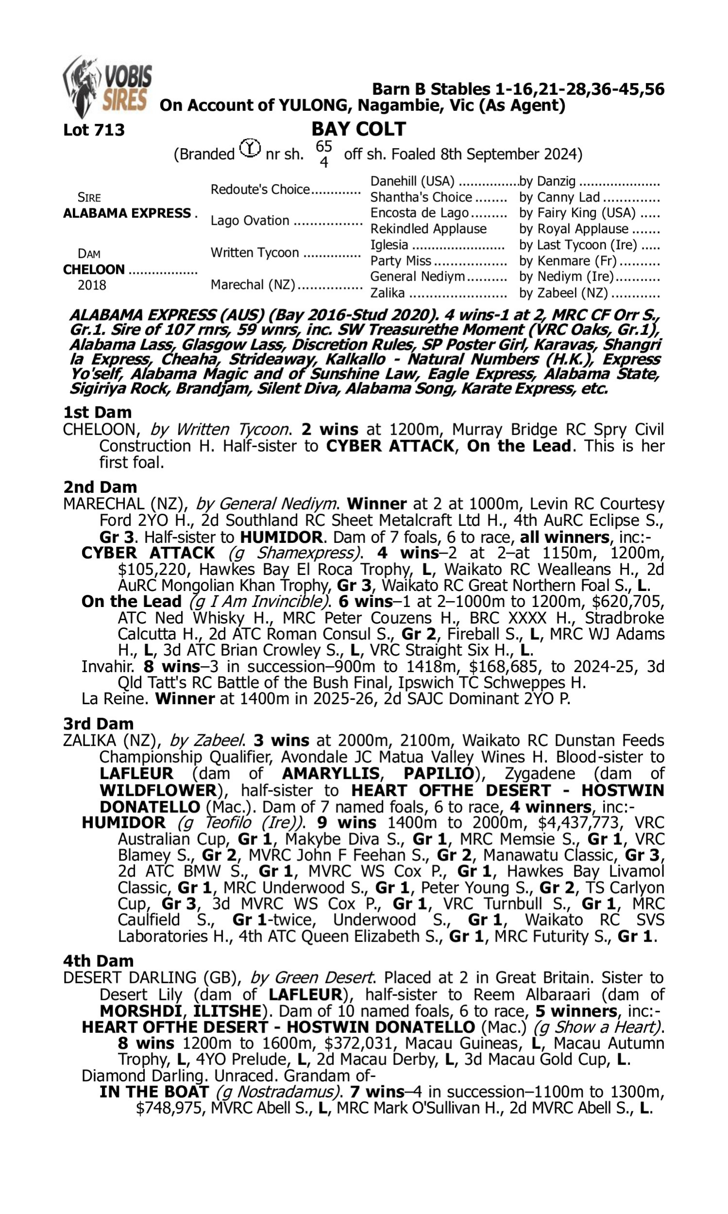 Pedigree for Lot 713 Alabama Express - Cheloon