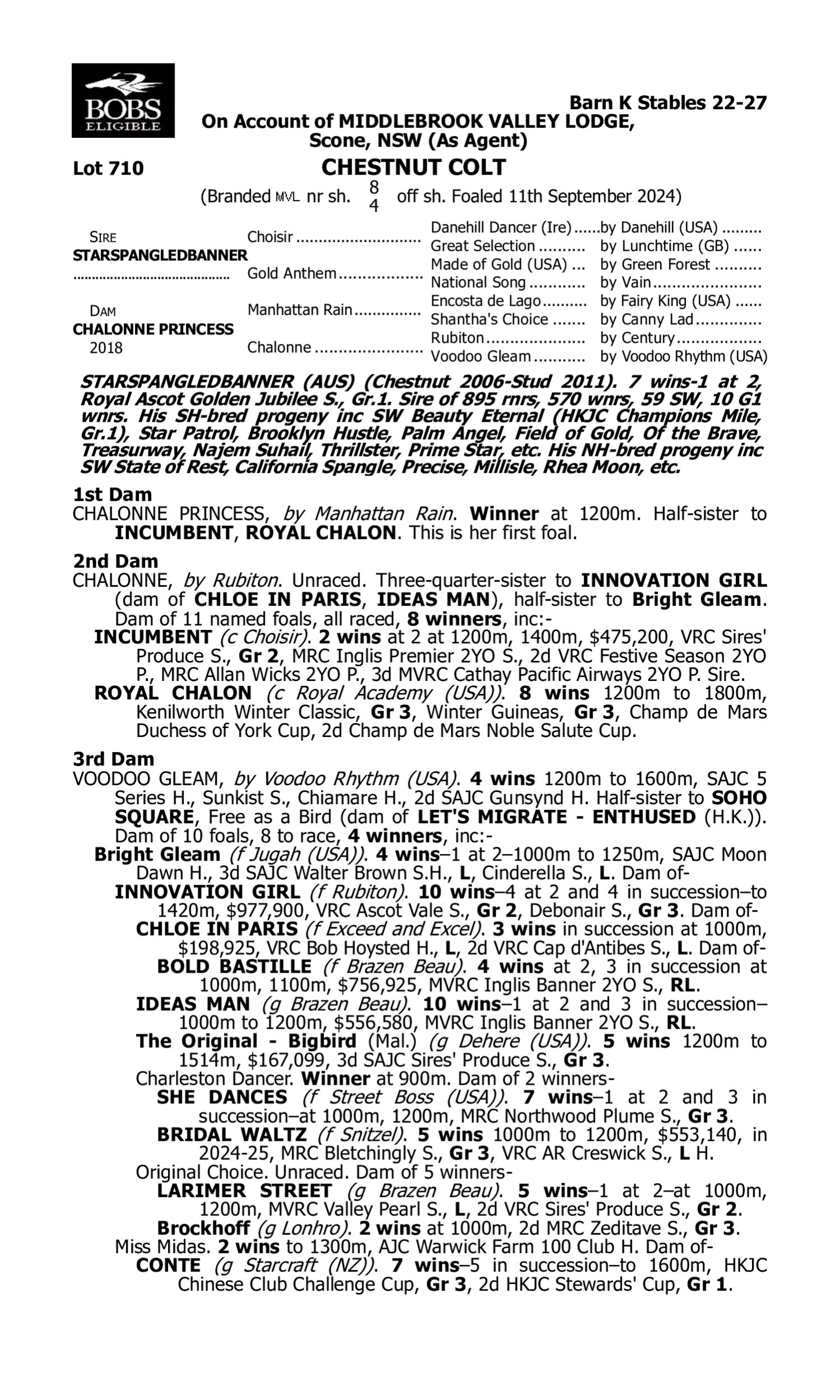 Pedigree for Lot 710 Starspangledbanner - Chalonne Princess