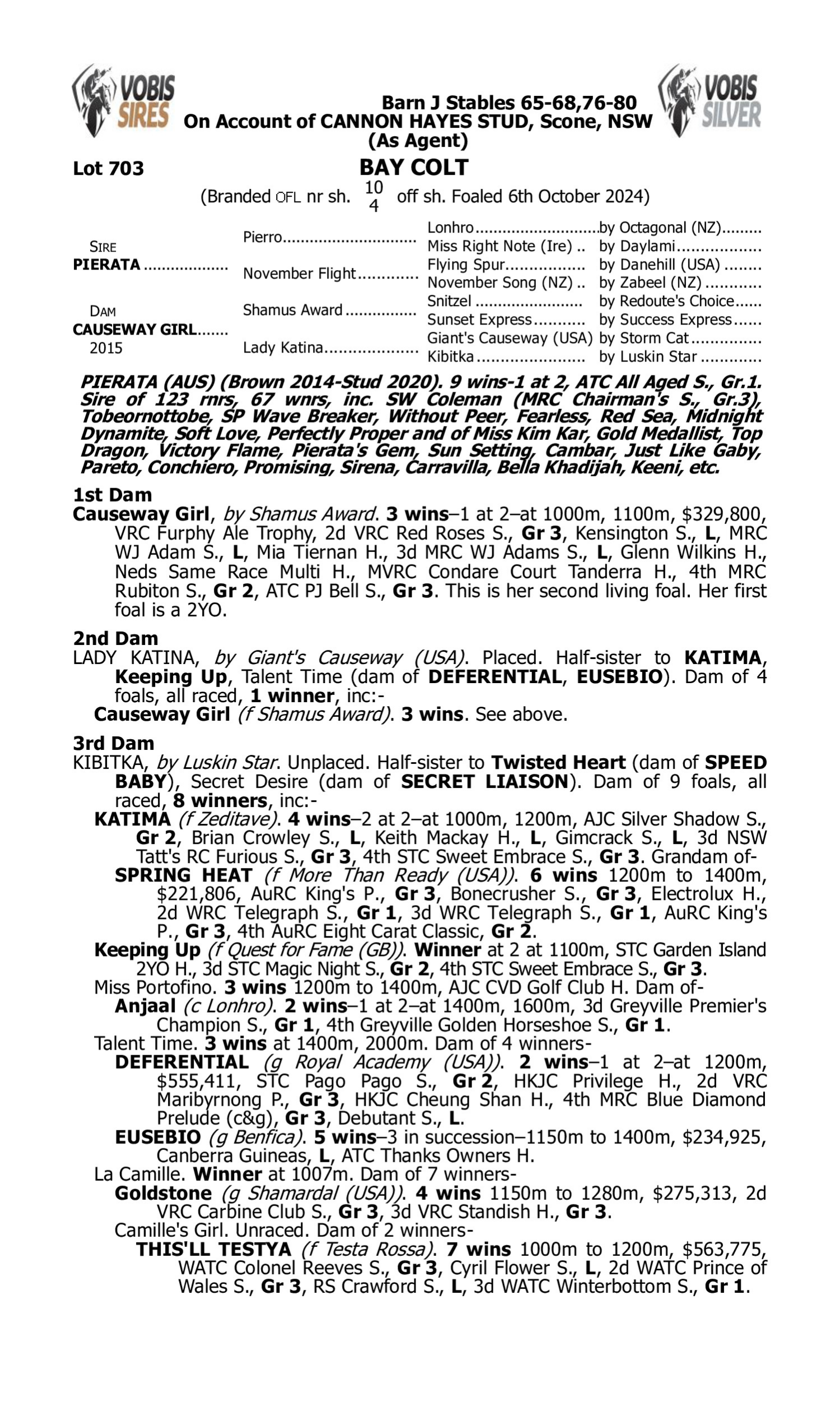 Pedigree for Lot 703 Pierata - Causeway Girl