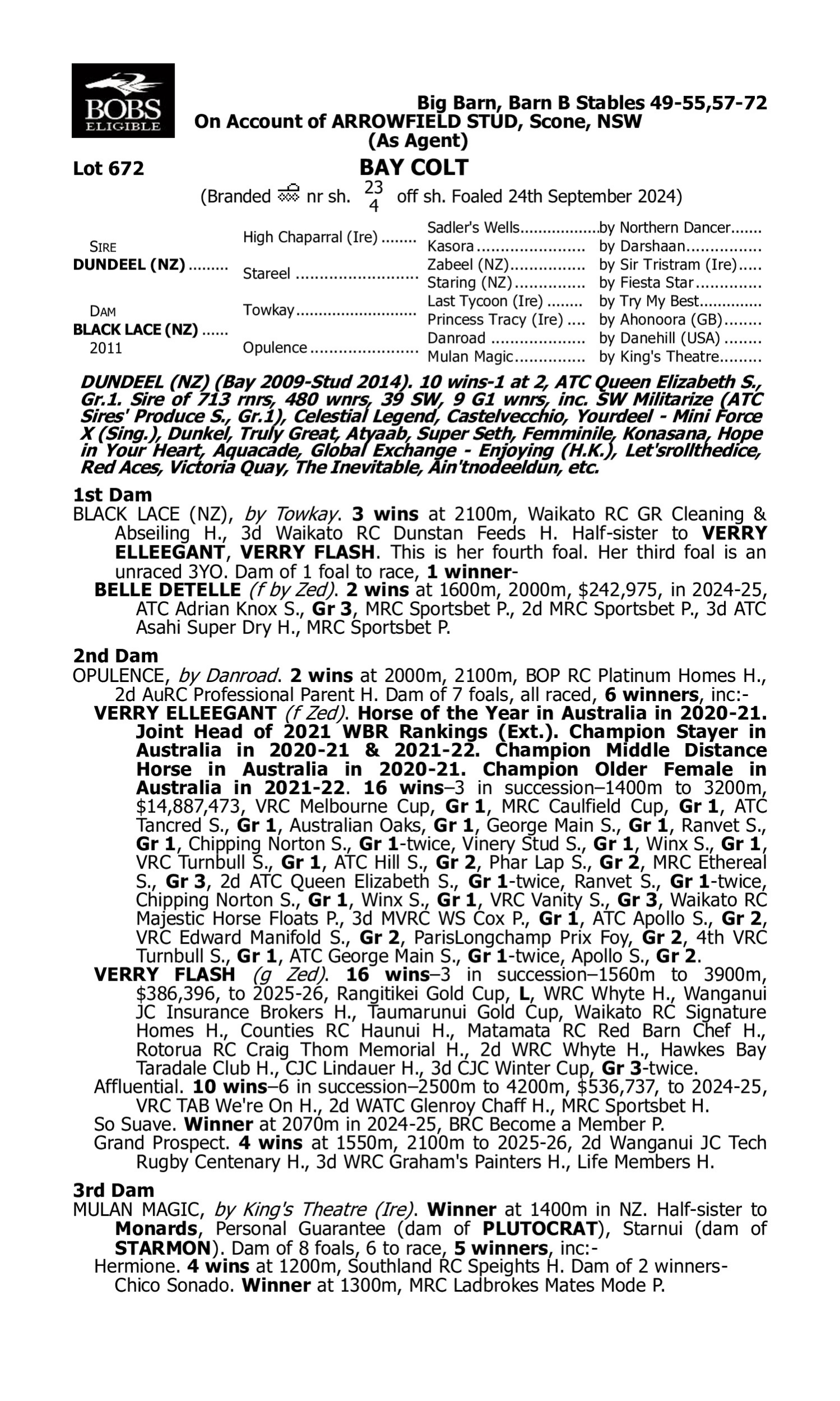 Pedigree for Lot 672 Dundeel (NZ) - Black Lace (NZ)