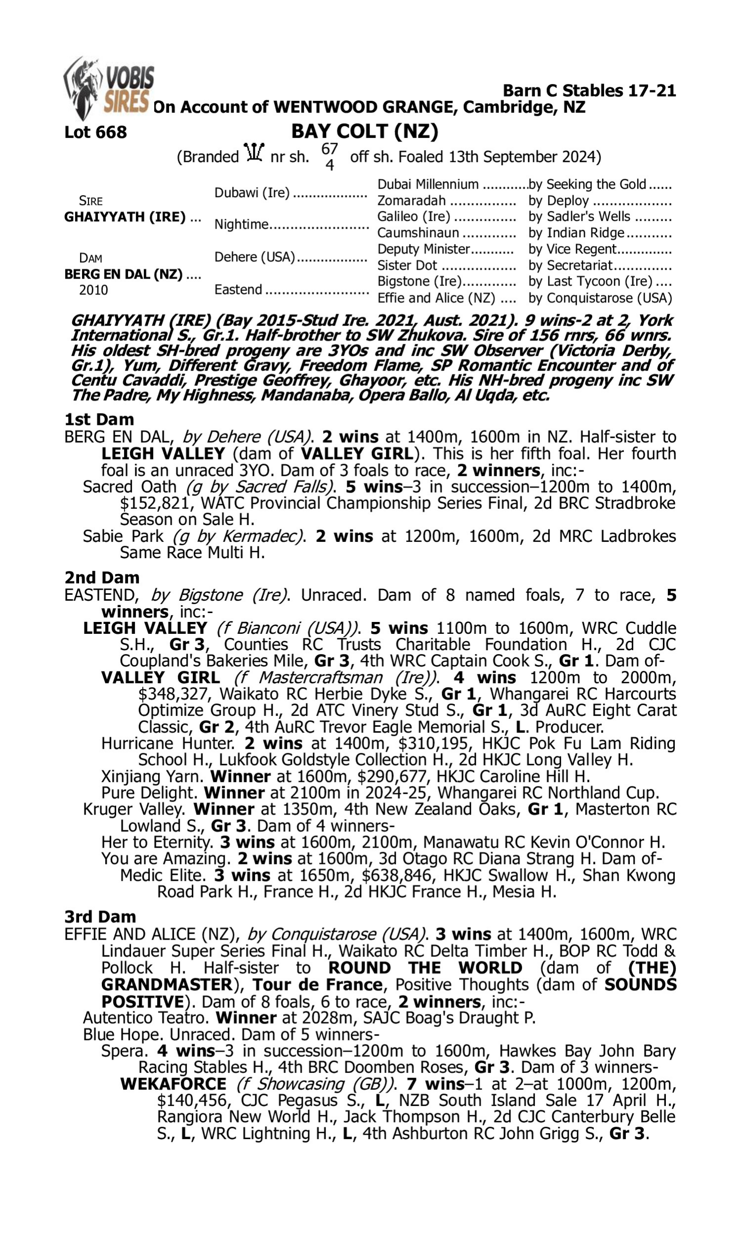 Pedigree for Lot 668 Ghaiyyath (IRE) - Berg en Dal (NZ)