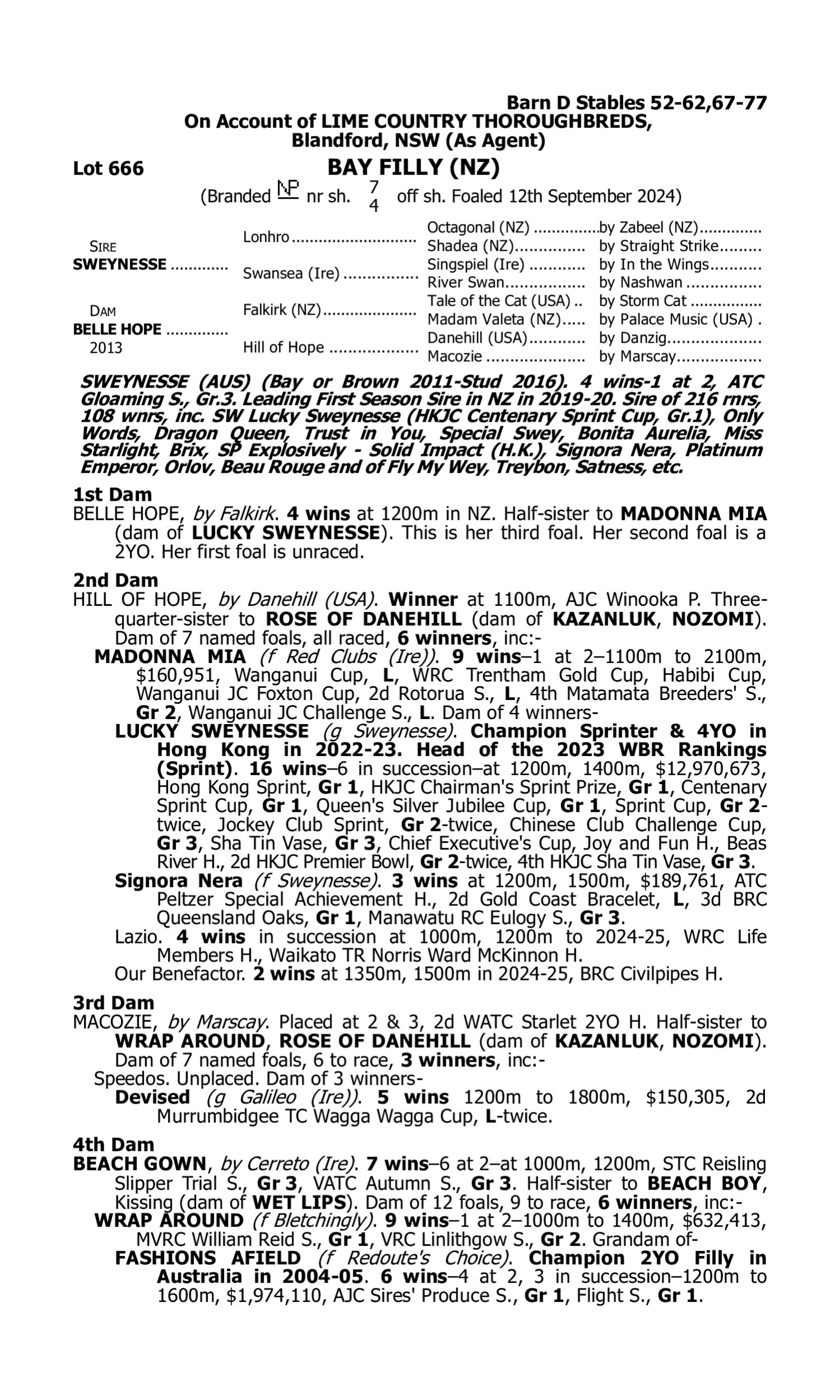 Pedigree for Lot 666 Sweynesse - Belle Hope (NZ)