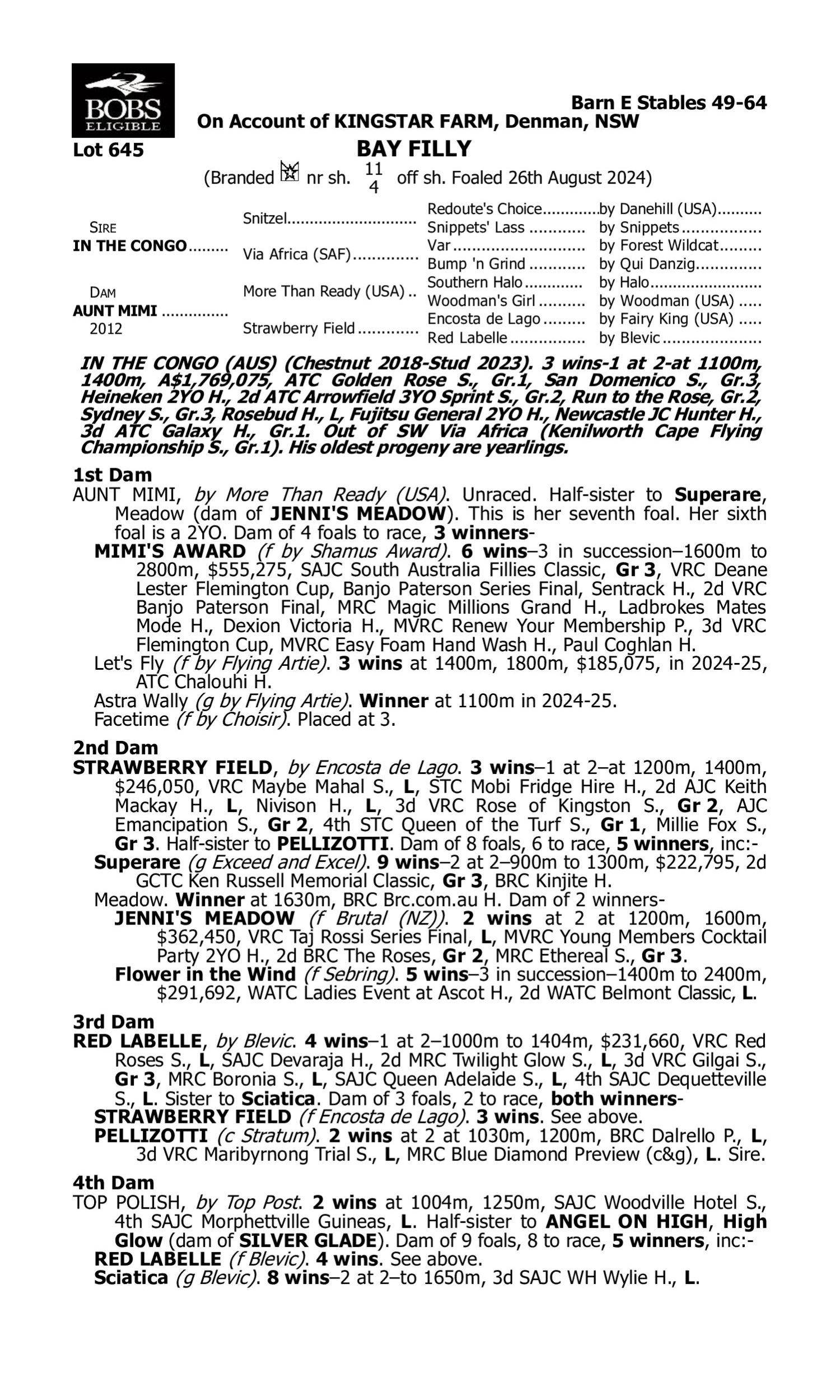 Pedigree for Lot 645 In the Congo - Aunt Mimi