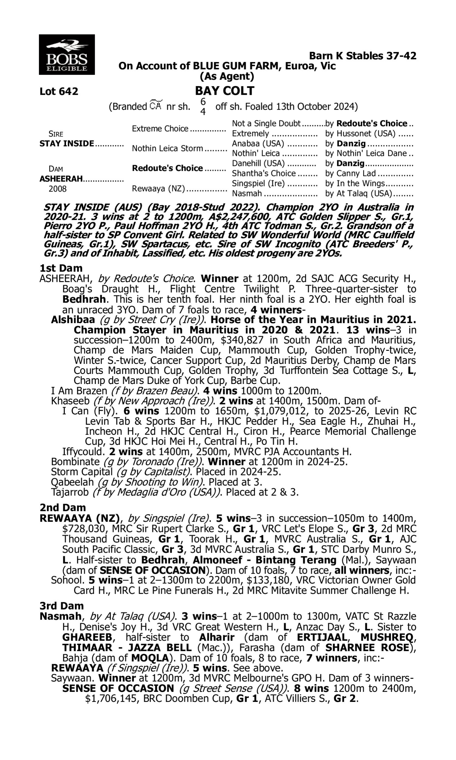 Pedigree for Lot 642 Stay Inside - Asheerah