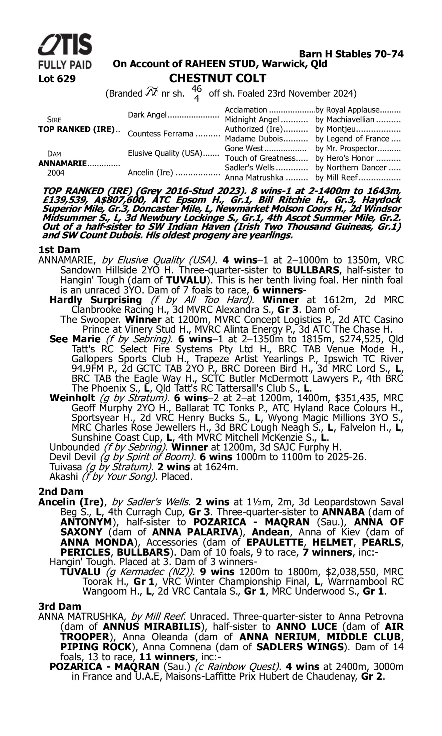 Pedigree for Lot 629 Top Ranked (IRE) - Annamarie