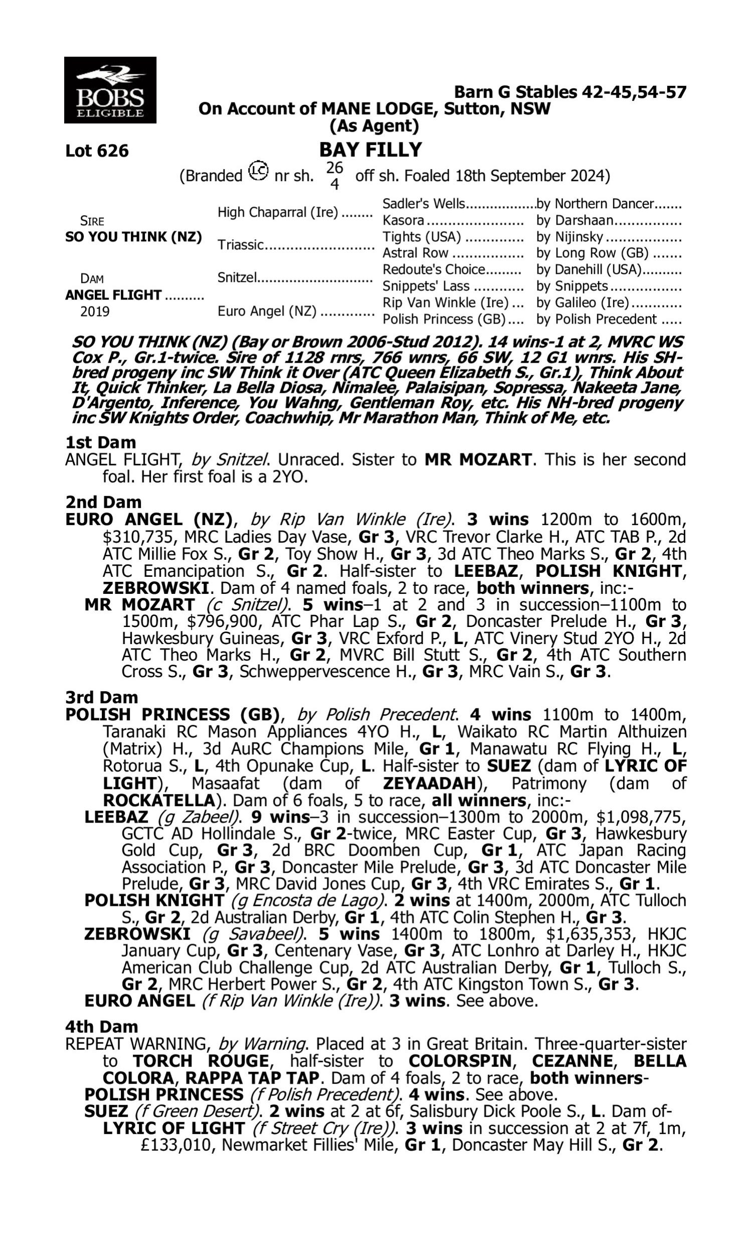 Pedigree for Lot 626 So You Think (NZ) - Angel Flight