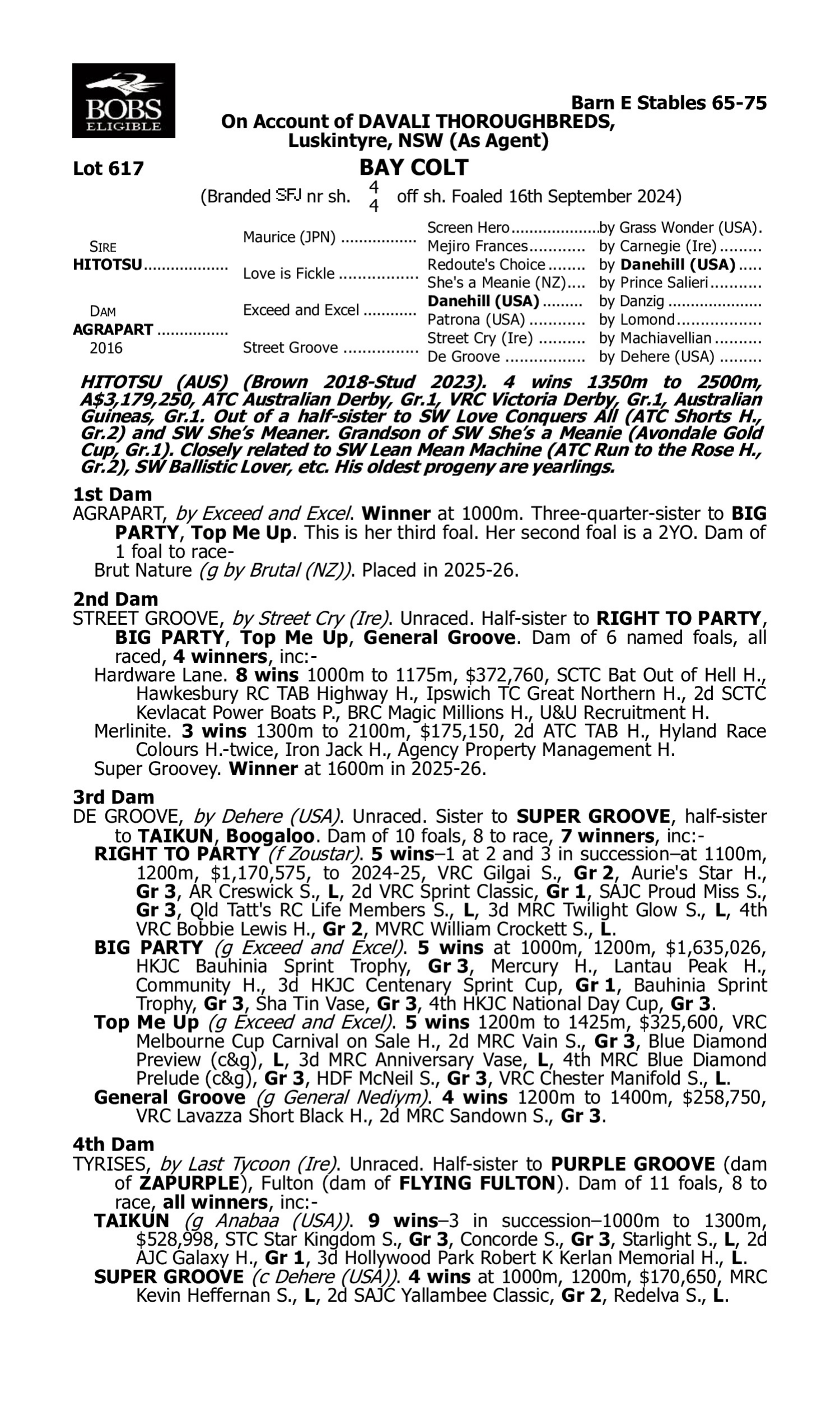 Pedigree for Lot 617 Hitotsu - Agrapart