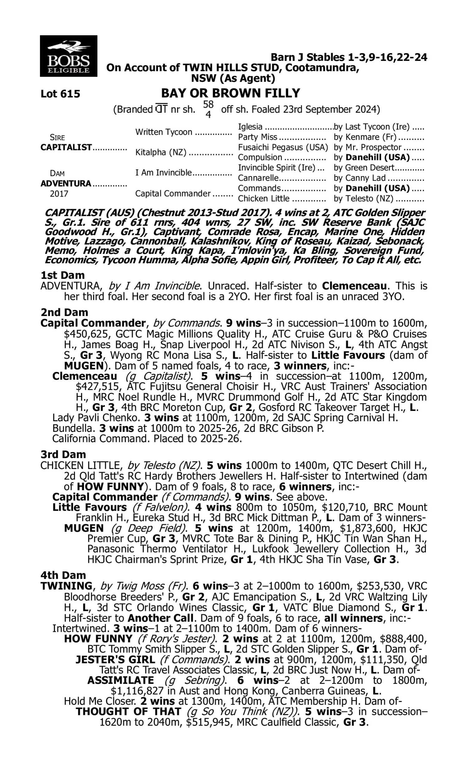 Pedigree for Lot 615 Capitalist - Adventura