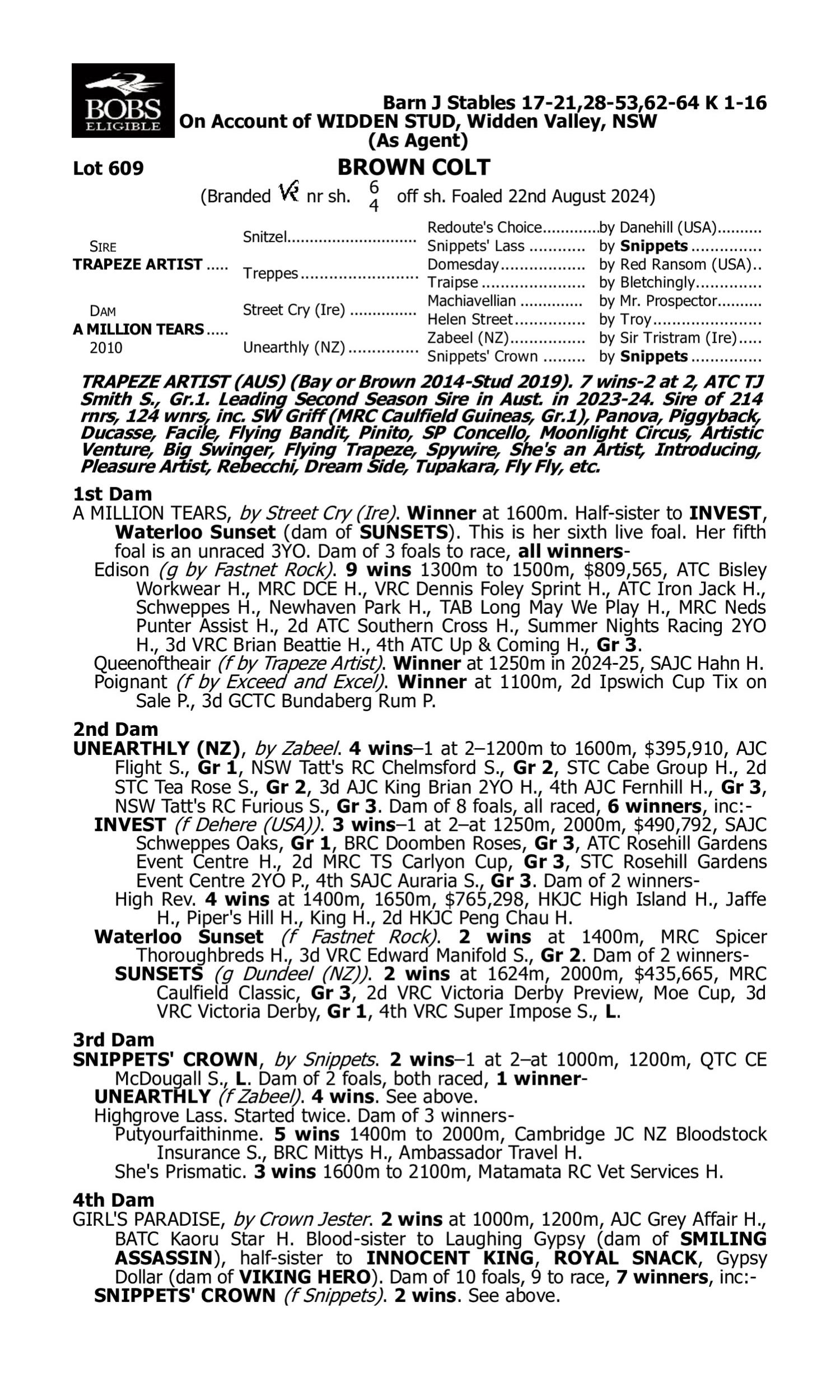 Pedigree for Lot 609 Trapeze Artist - A Million Tears