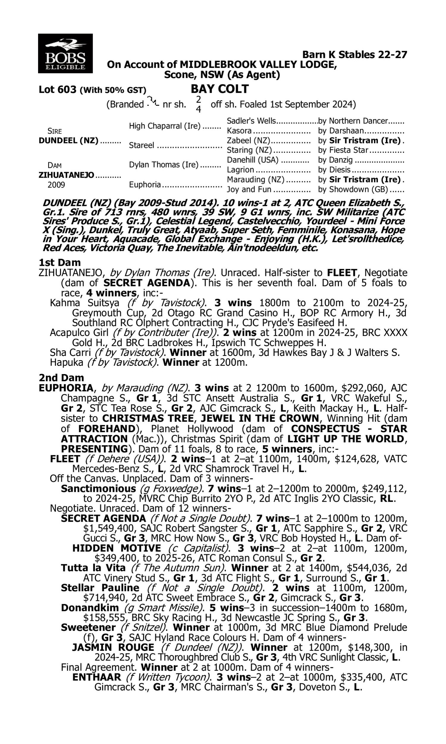 Pedigree for Lot 603 Dundeel (NZ) - Zihuatanejo