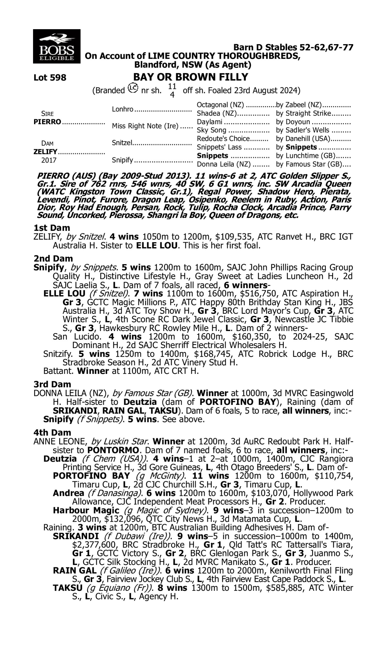 Pedigree for Lot 598 Pierro - Zelify