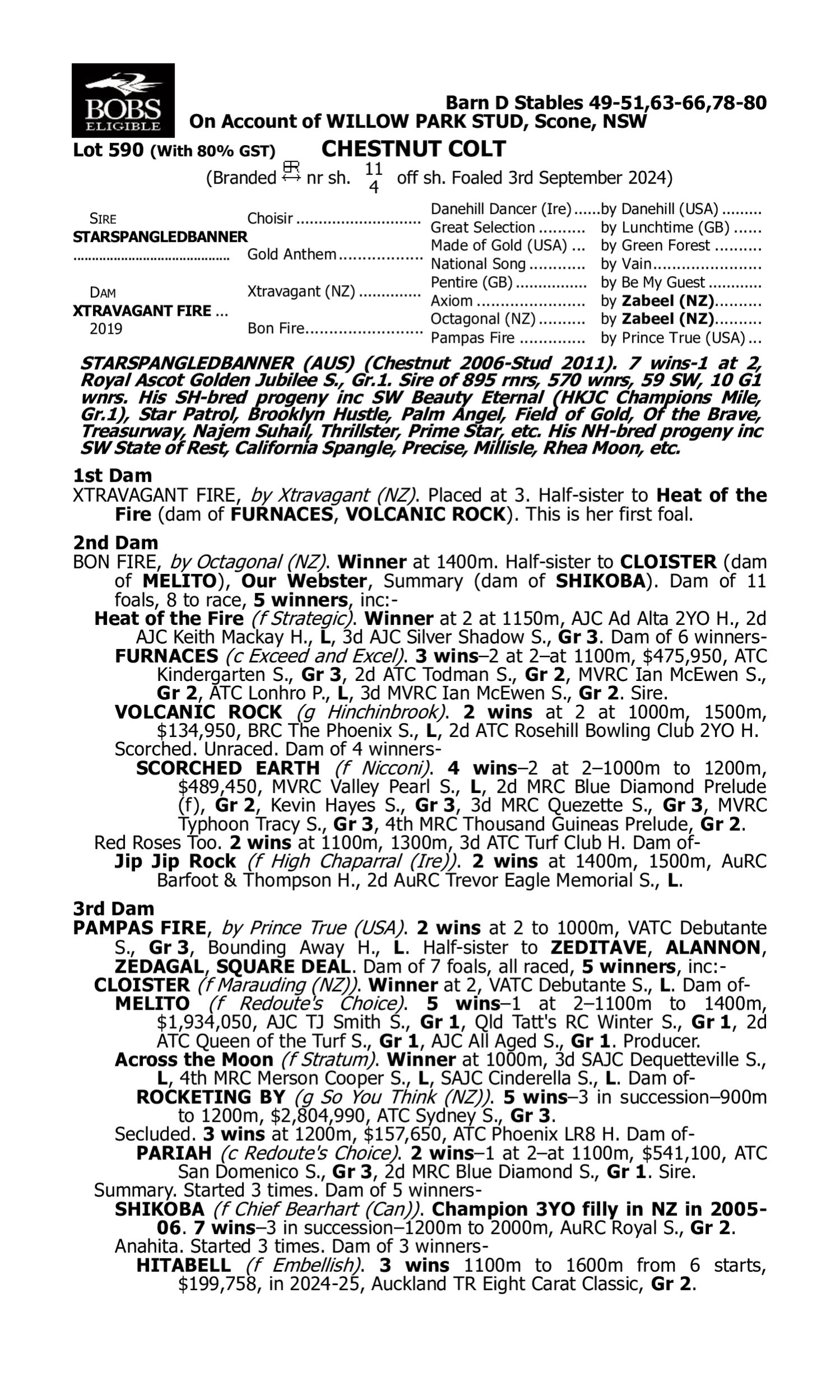 Pedigree for Lot 590 Starspangledbanner - Xtravagant Fire