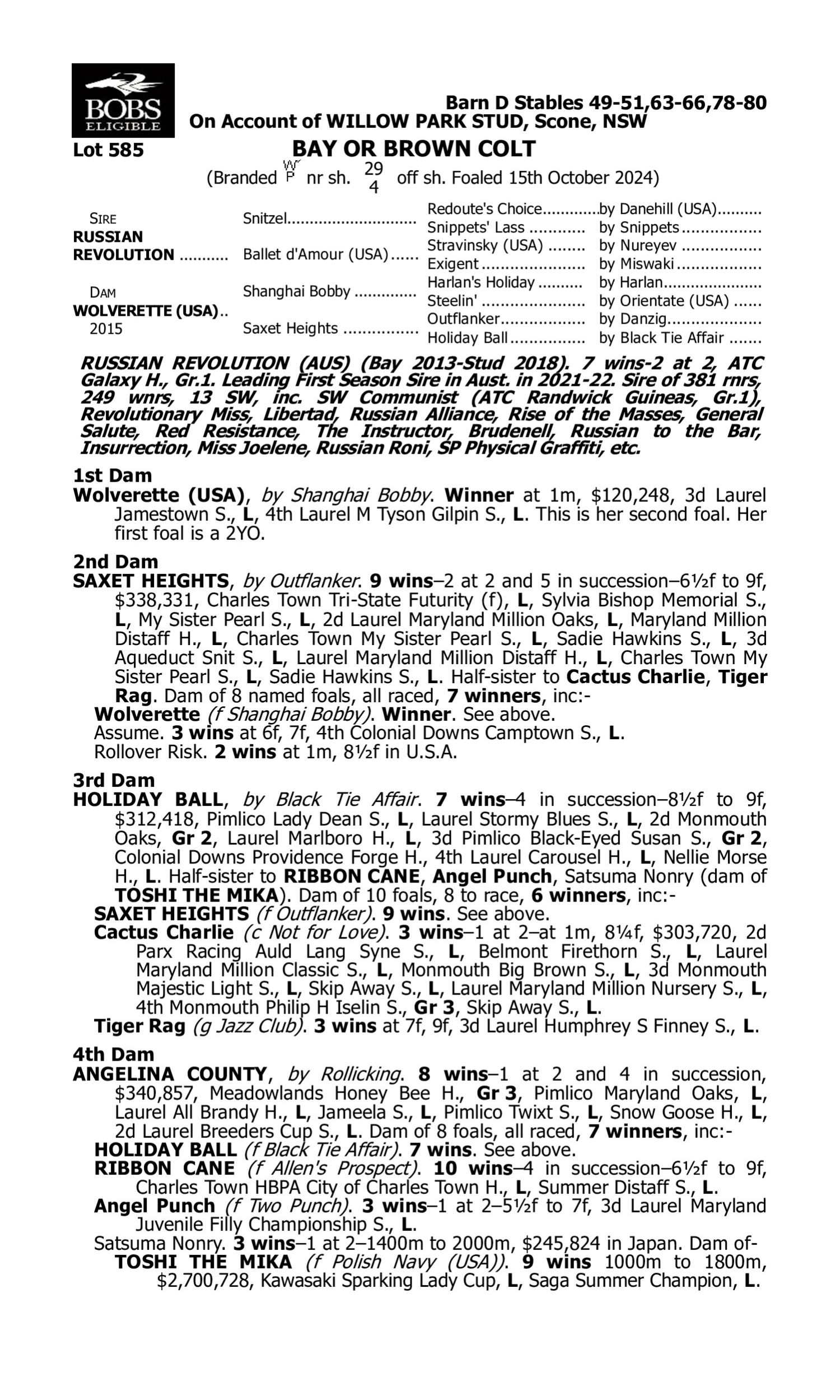 Pedigree for Lot 585 Russian Revolution - Wolverette (USA)