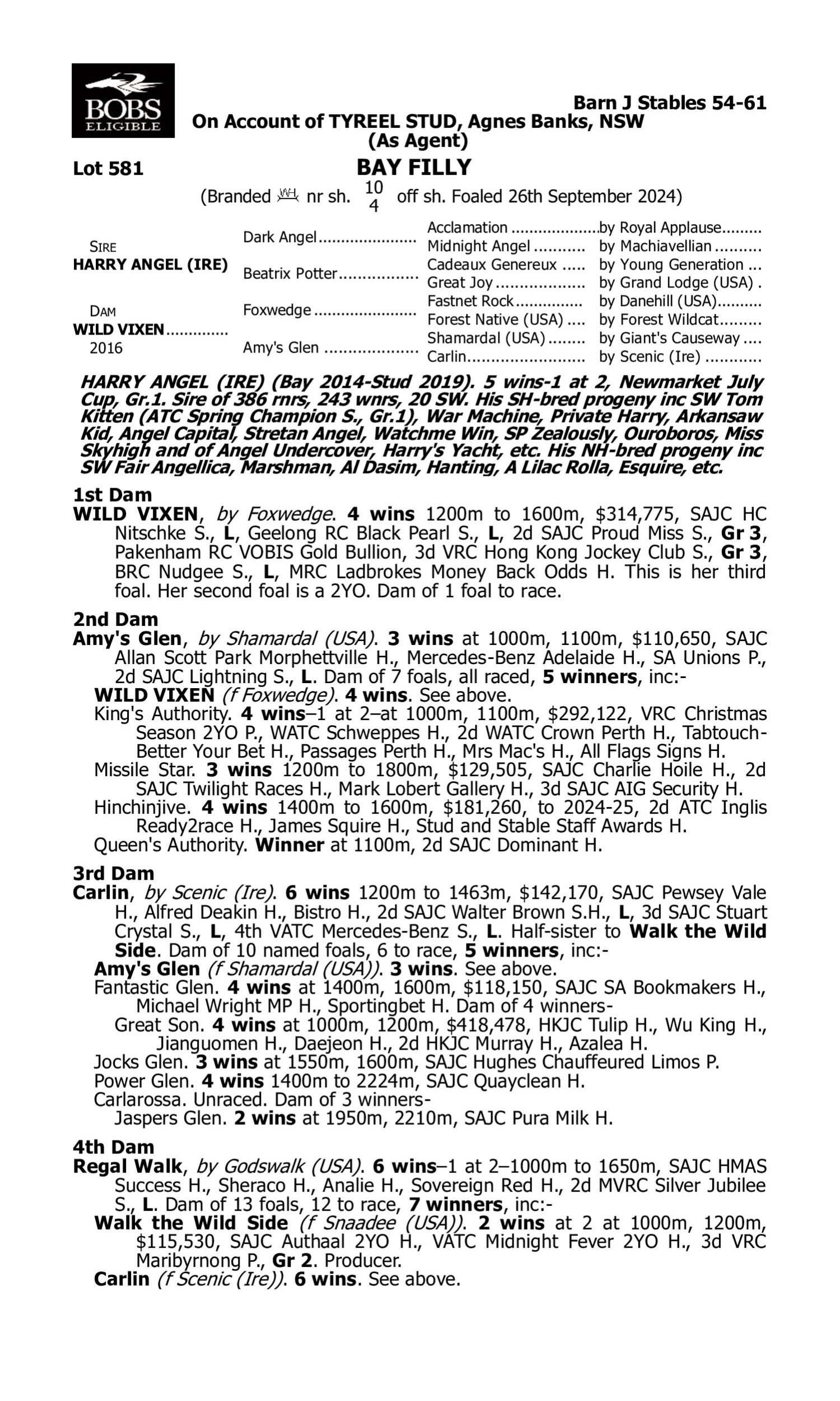 Pedigree for Lot 581 Harry Angel (IRE) - Wild Vixen