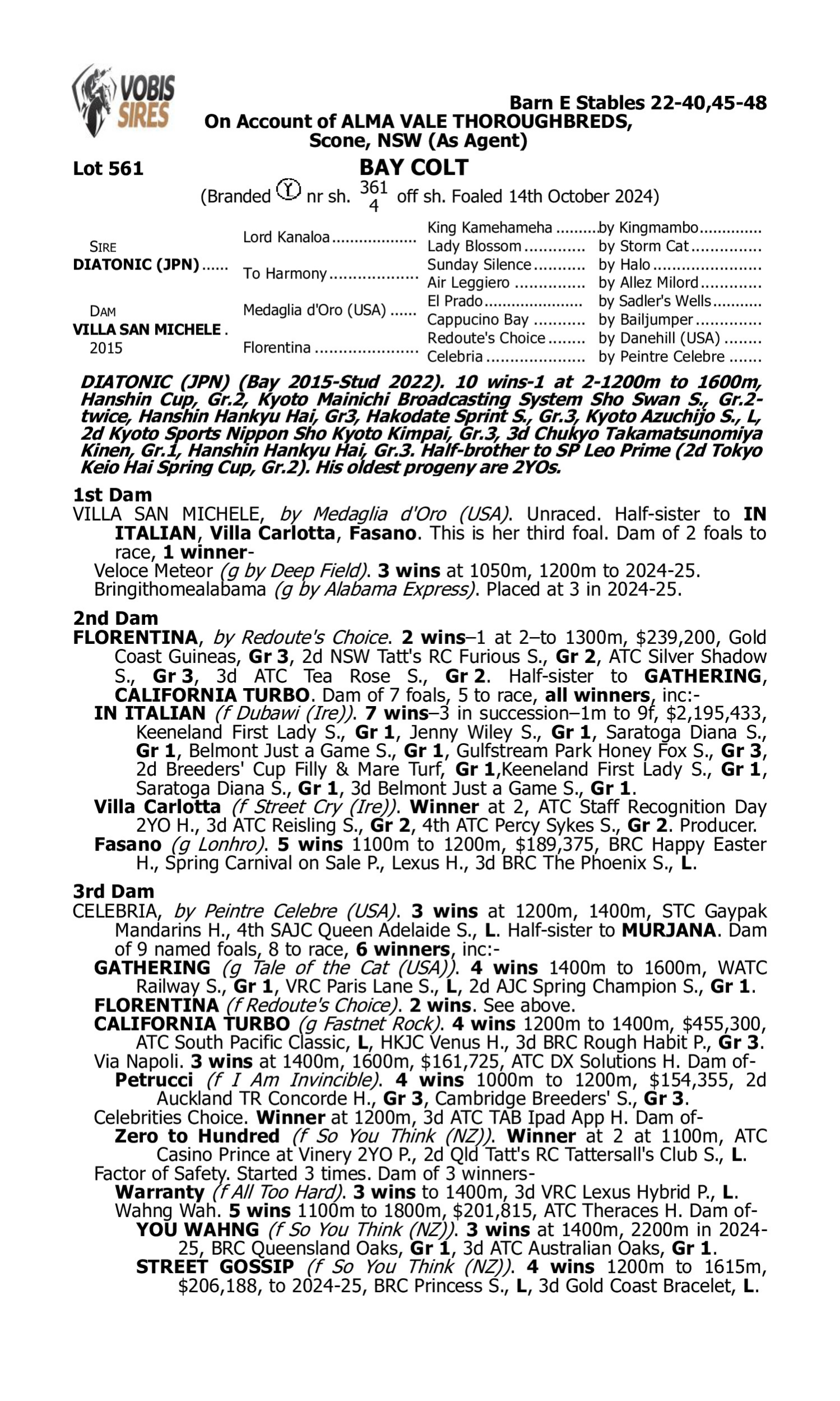 Pedigree for Lot 561 Diatonic (JPN) - Villa San Michele