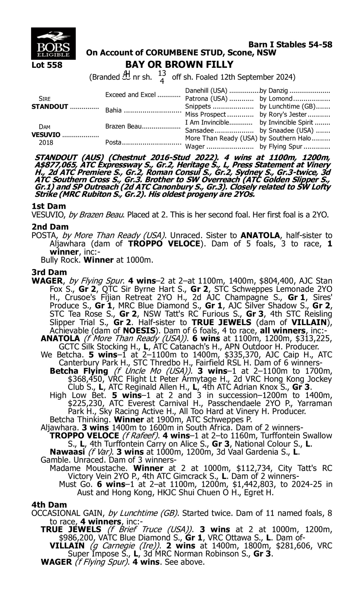 Pedigree for Lot 558 Standout - Vesuvio
