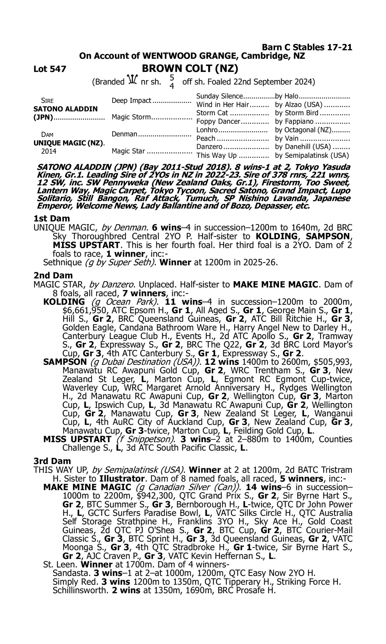 Pedigree for Lot 547 Satono Aladdin (JPN) - Unique Magic (NZ)