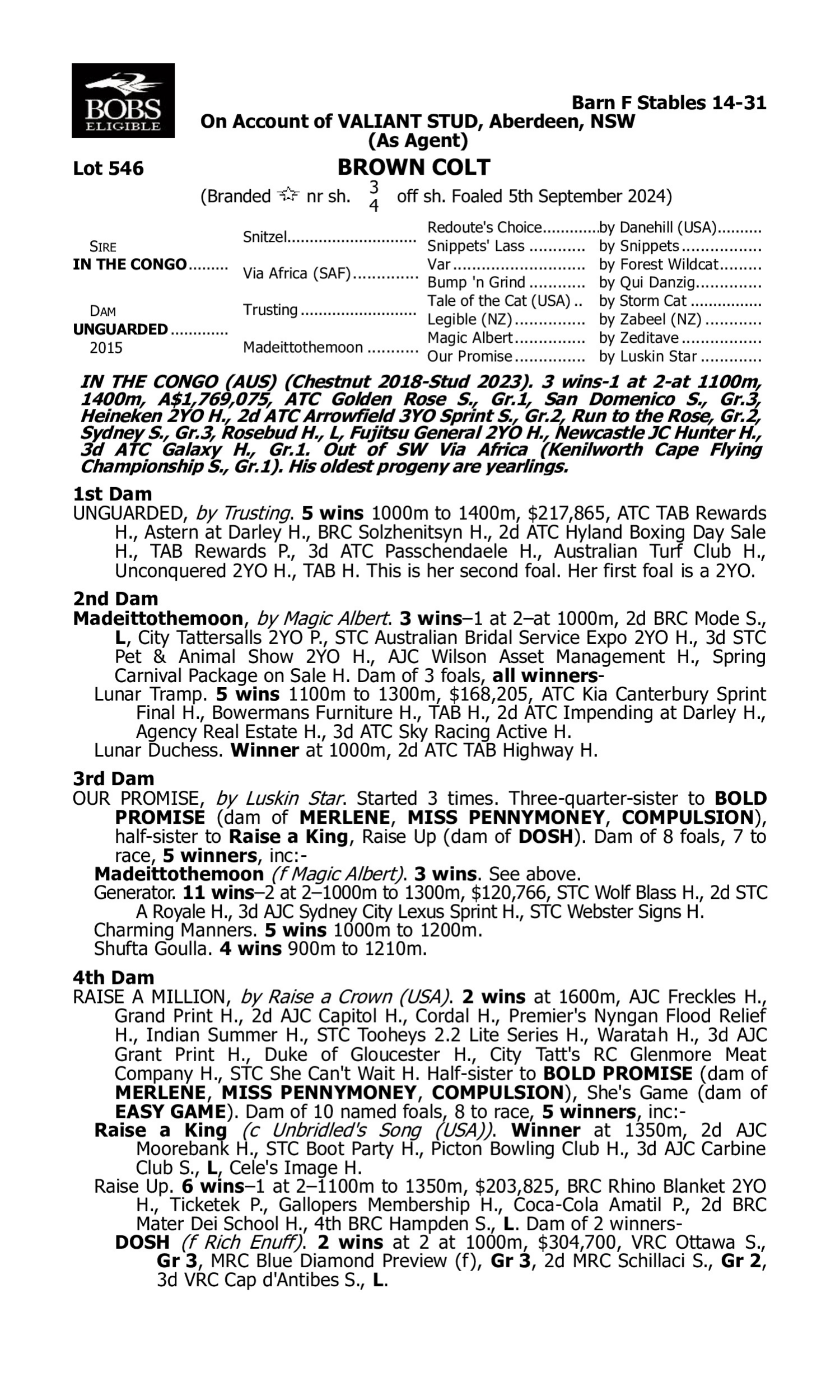 Pedigree for Lot 546 In the Congo - Unguarded