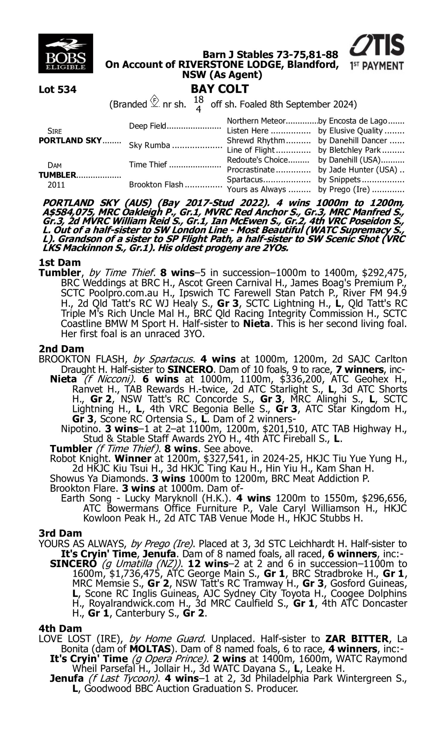 Pedigree for Lot 534 Portland Sky - Tumbler