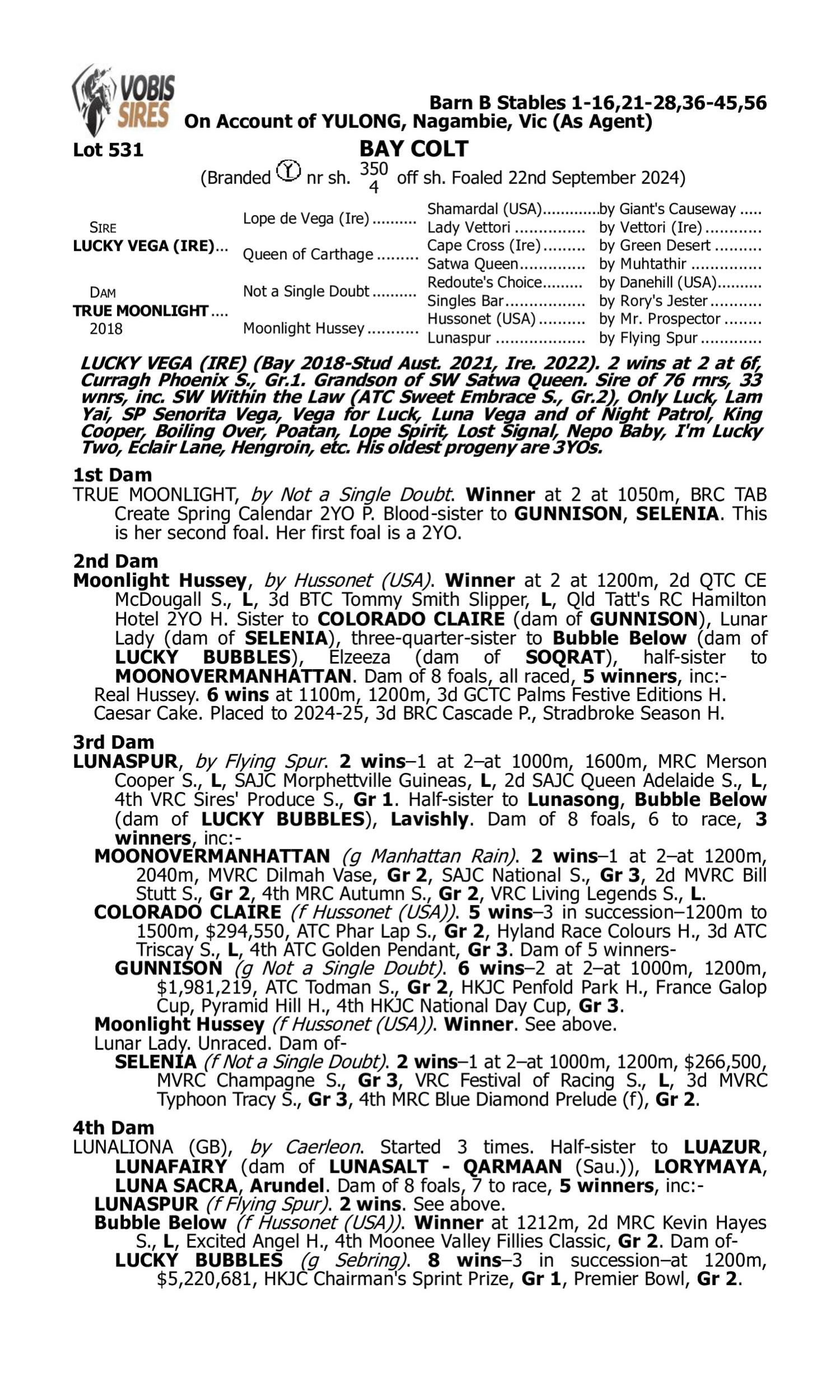 Pedigree for Lot 531 Lucky Vega (IRE) - True Moonlight