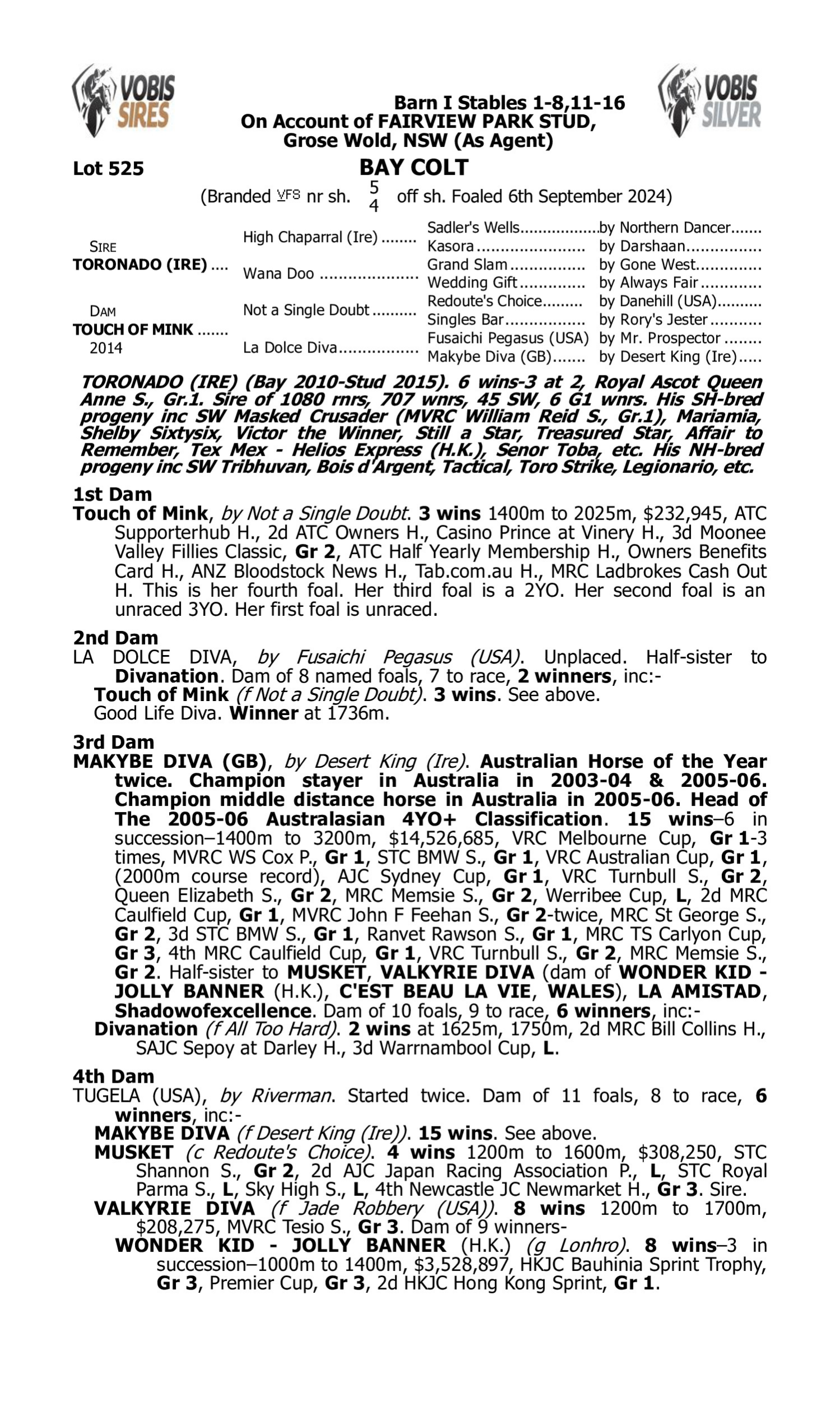 Pedigree for Lot 525 Toronado (IRE) - Touch of Mink