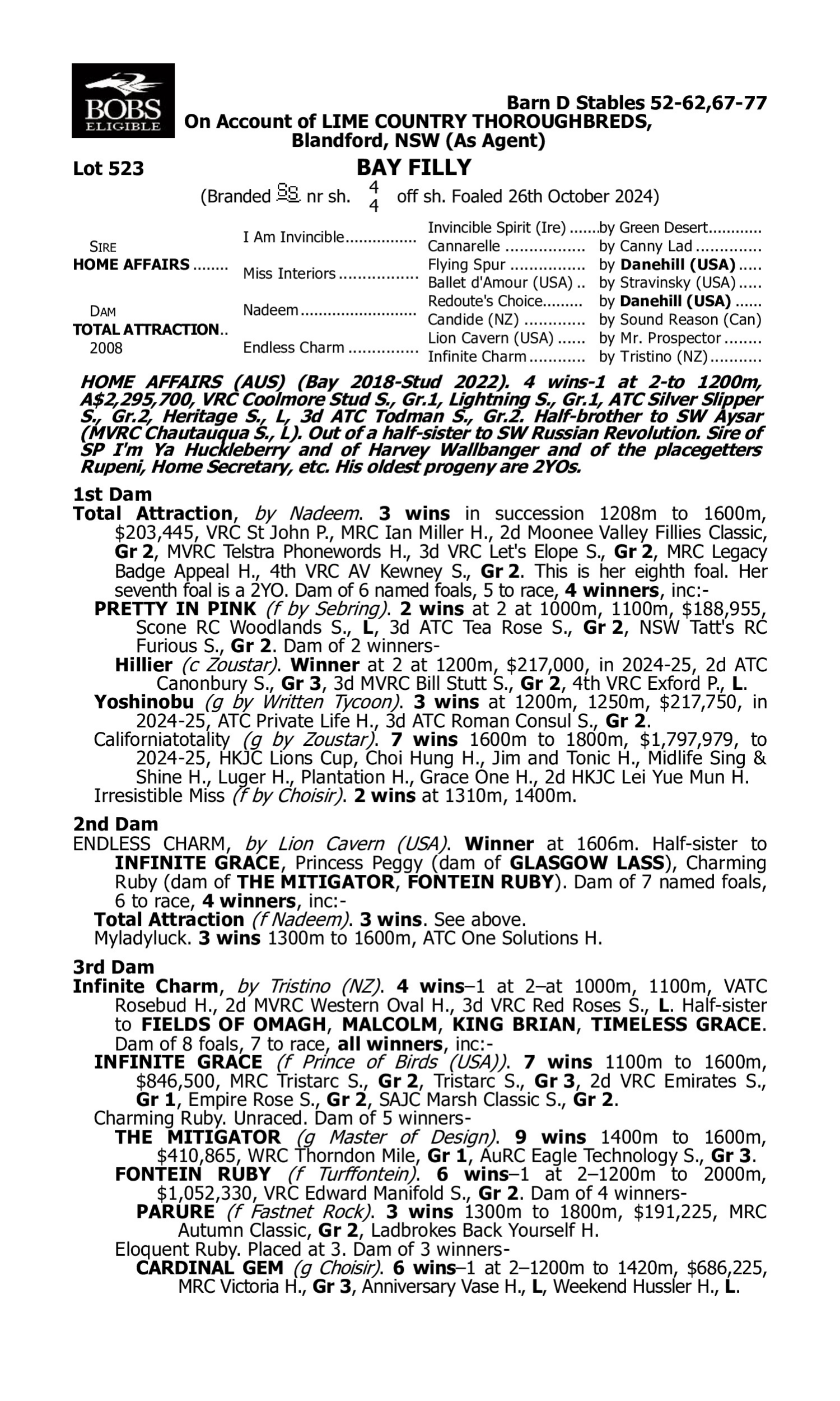 Pedigree for Lot 523 Home Affairs - Total Attraction