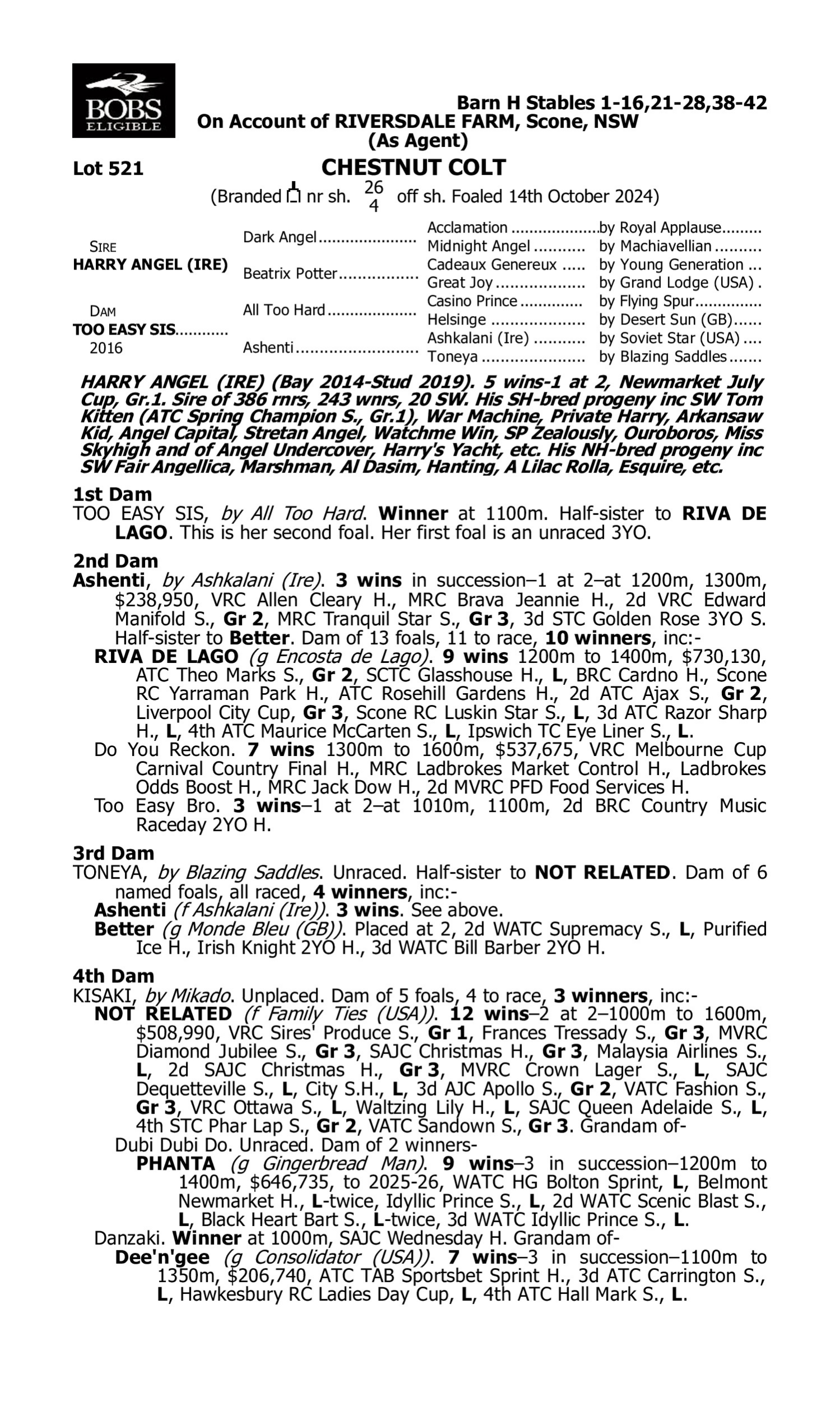 Pedigree for Lot 521 Harry Angel (IRE) - Too Easy Sis