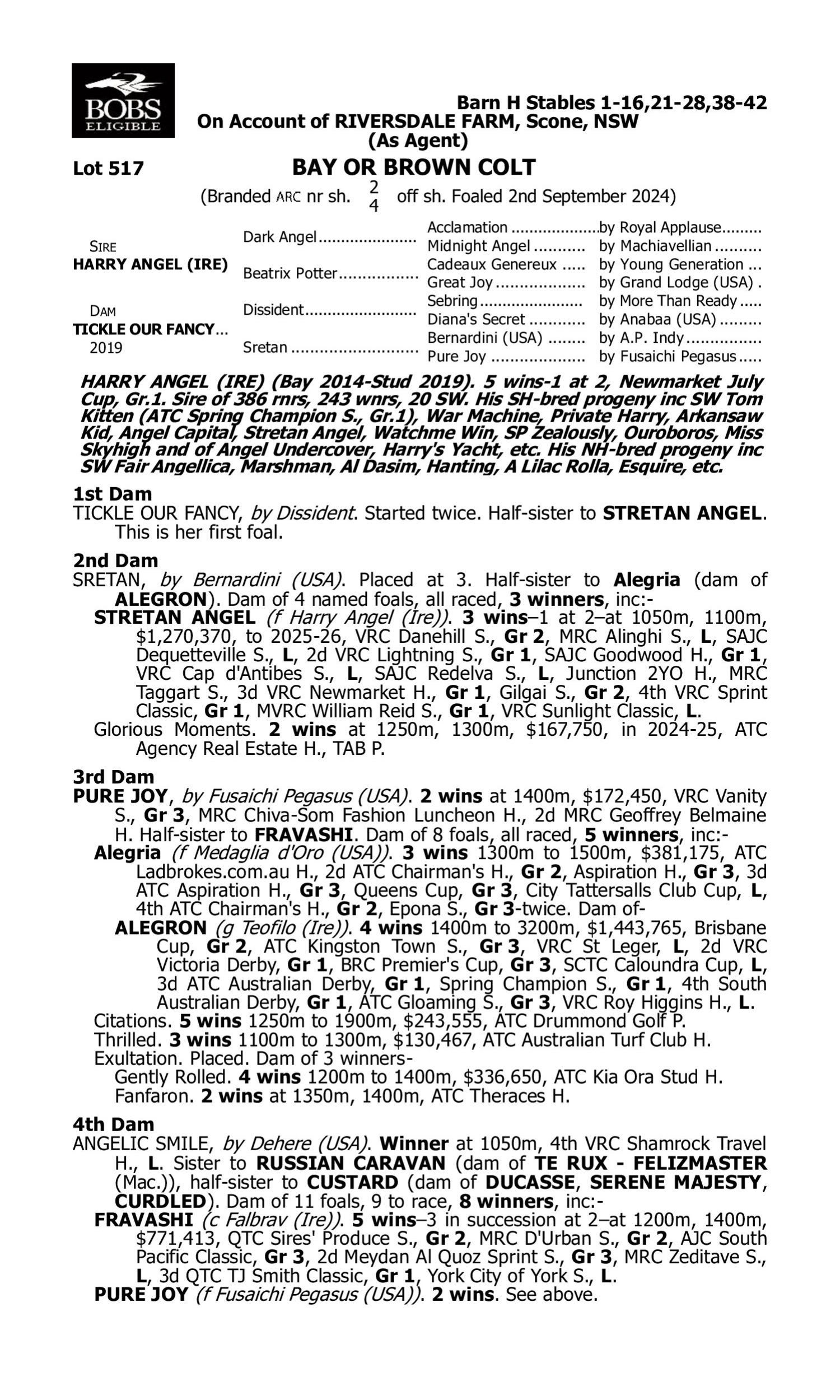 Pedigree for Lot 517 Harry Angel (IRE) - Tickle Our Fancy