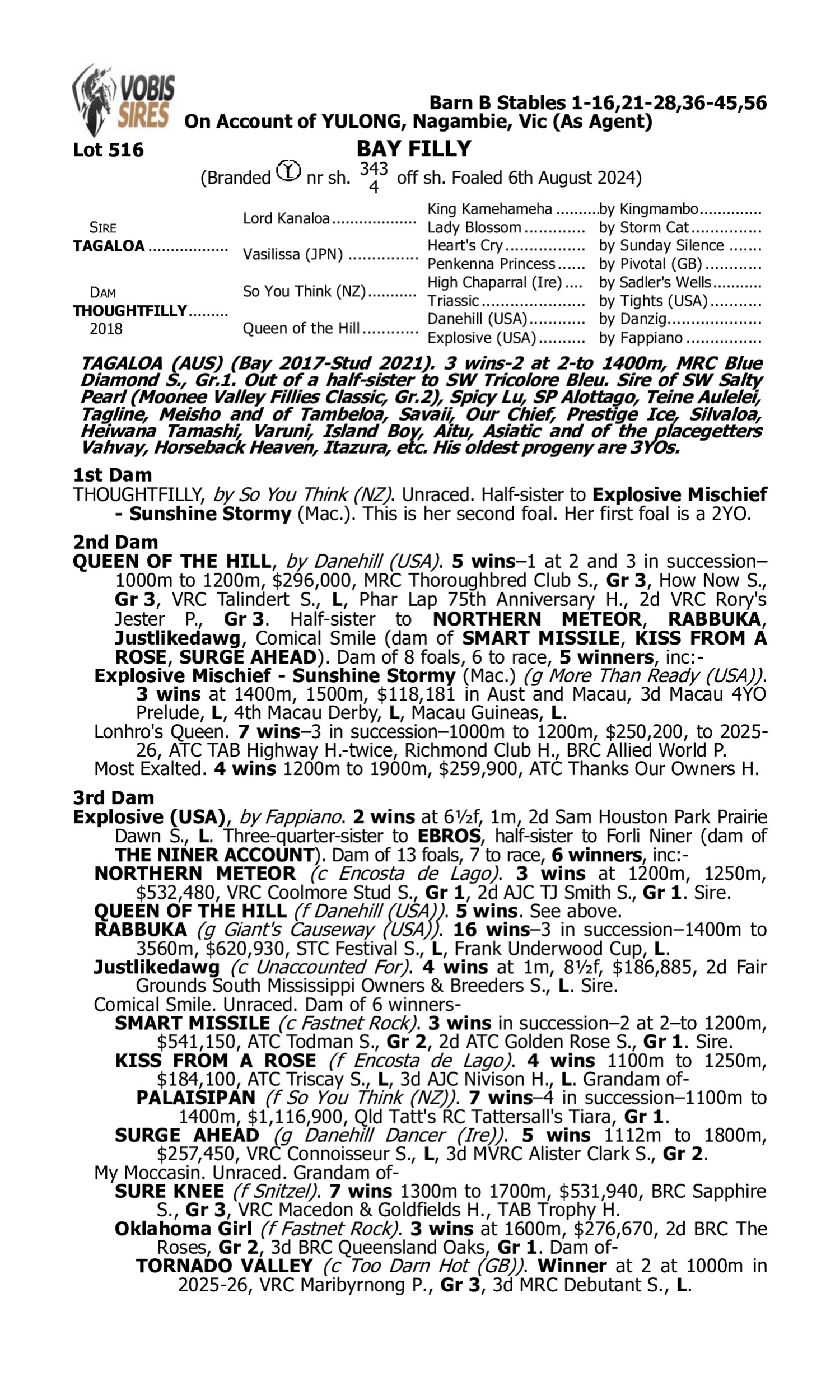 Pedigree for Lot 516 Tagaloa - Thoughtfilly