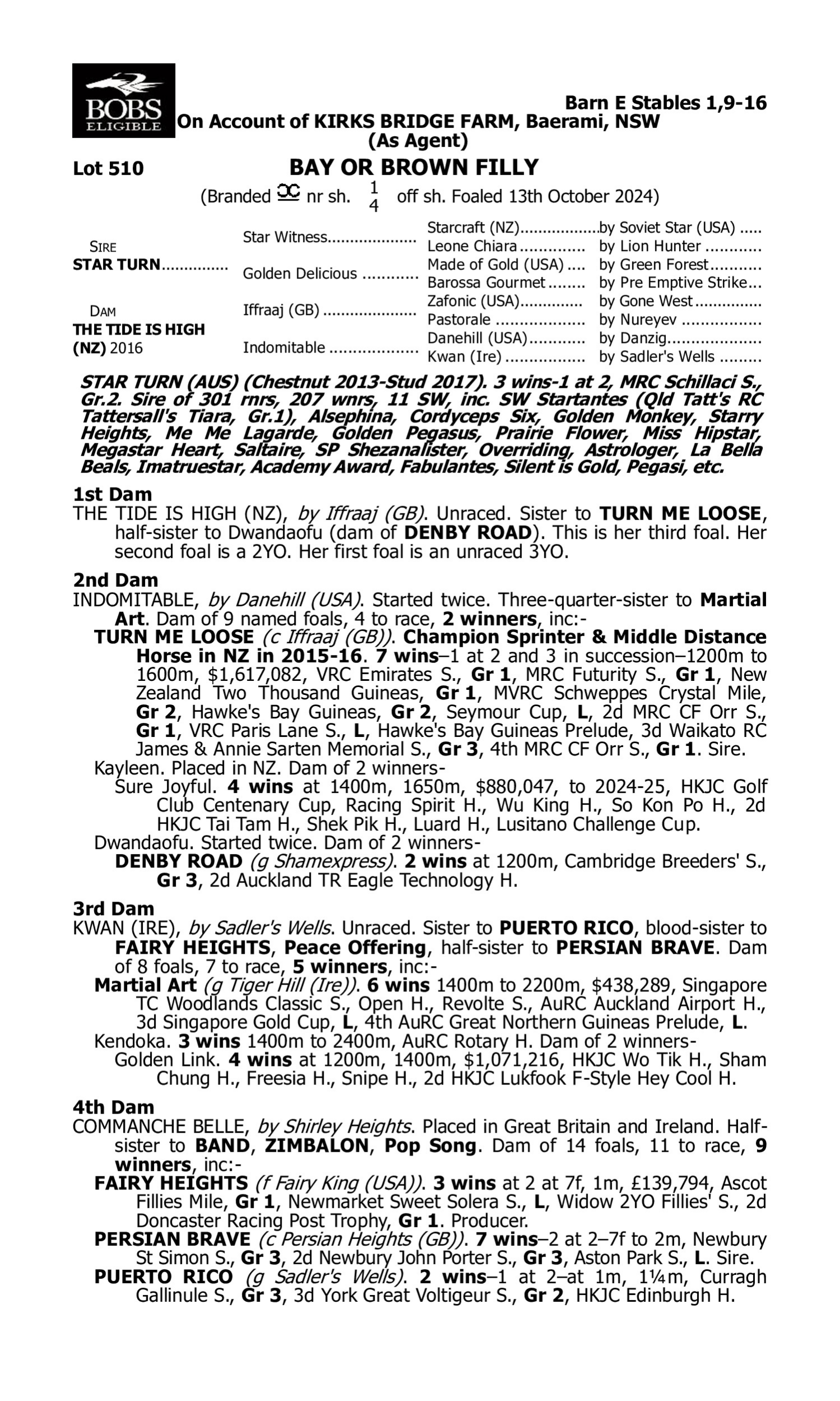 Pedigree for Lot 510 Star Turn - The Tide is High (NZ)