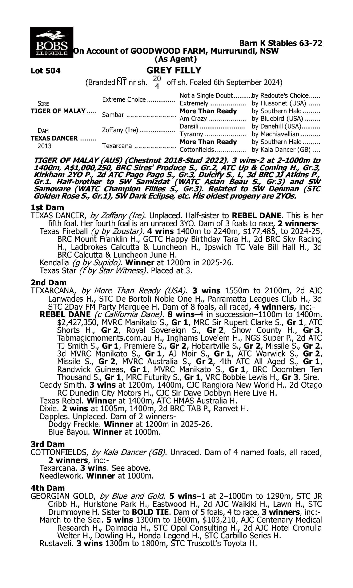 Pedigree for Lot 504 Tiger of Malay - Texas Dancer