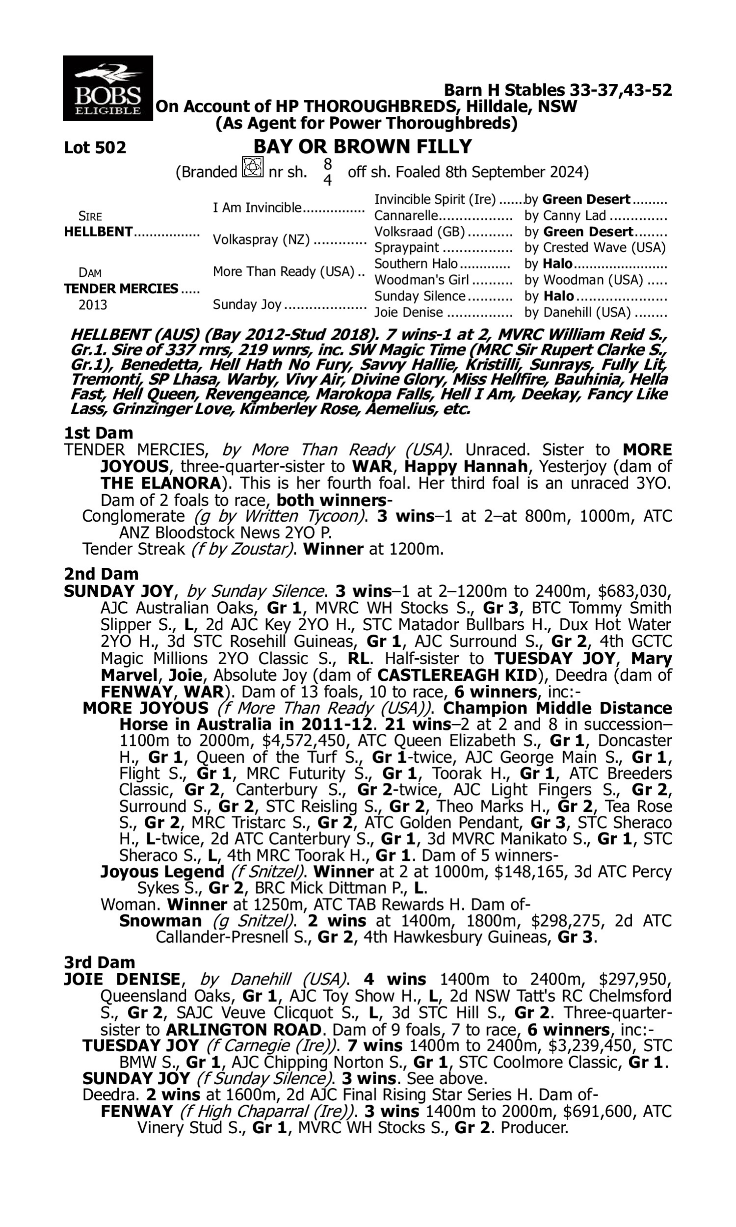 Pedigree for Lot 502 Hellbent - Tender Mercies