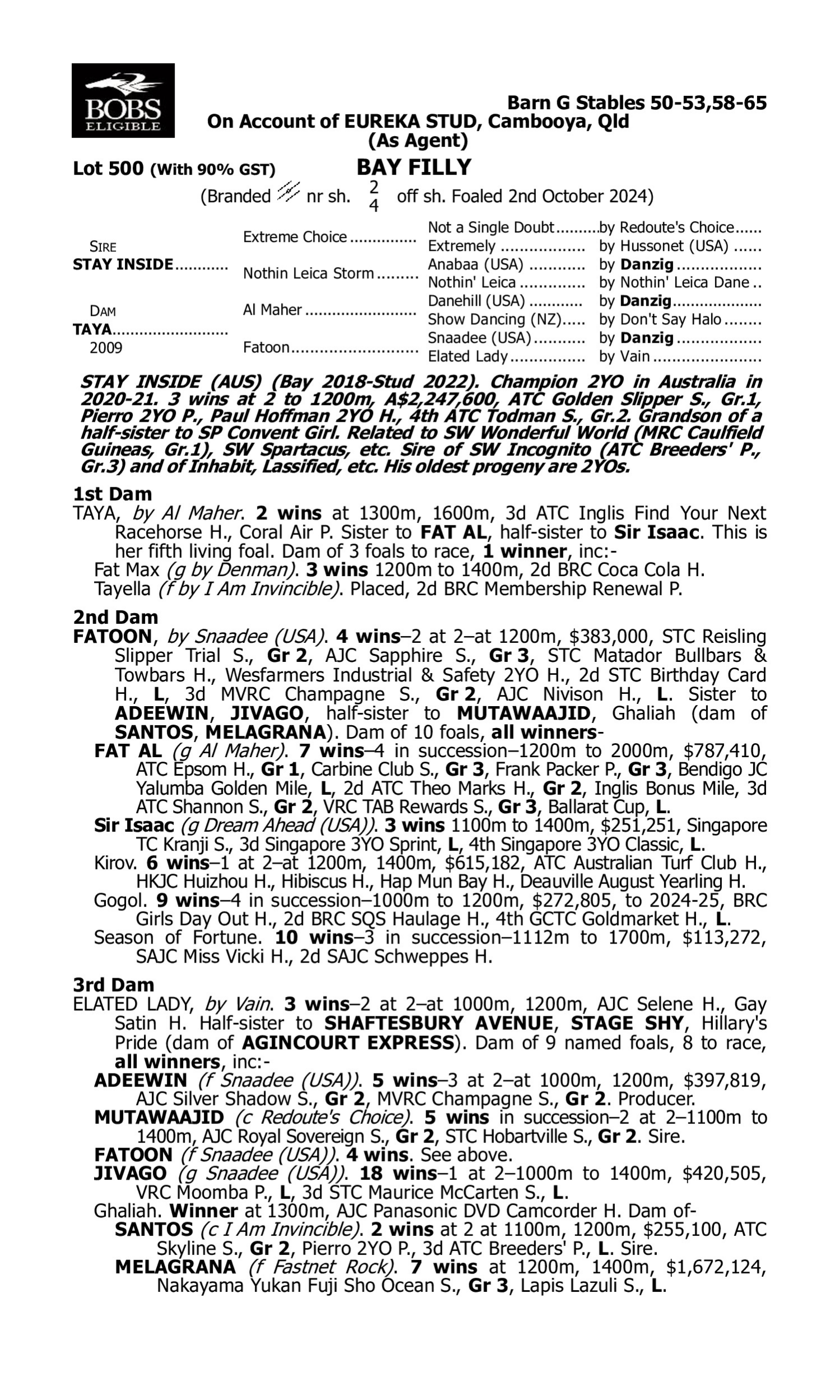 Pedigree for Lot 500 Stay Inside - Taya